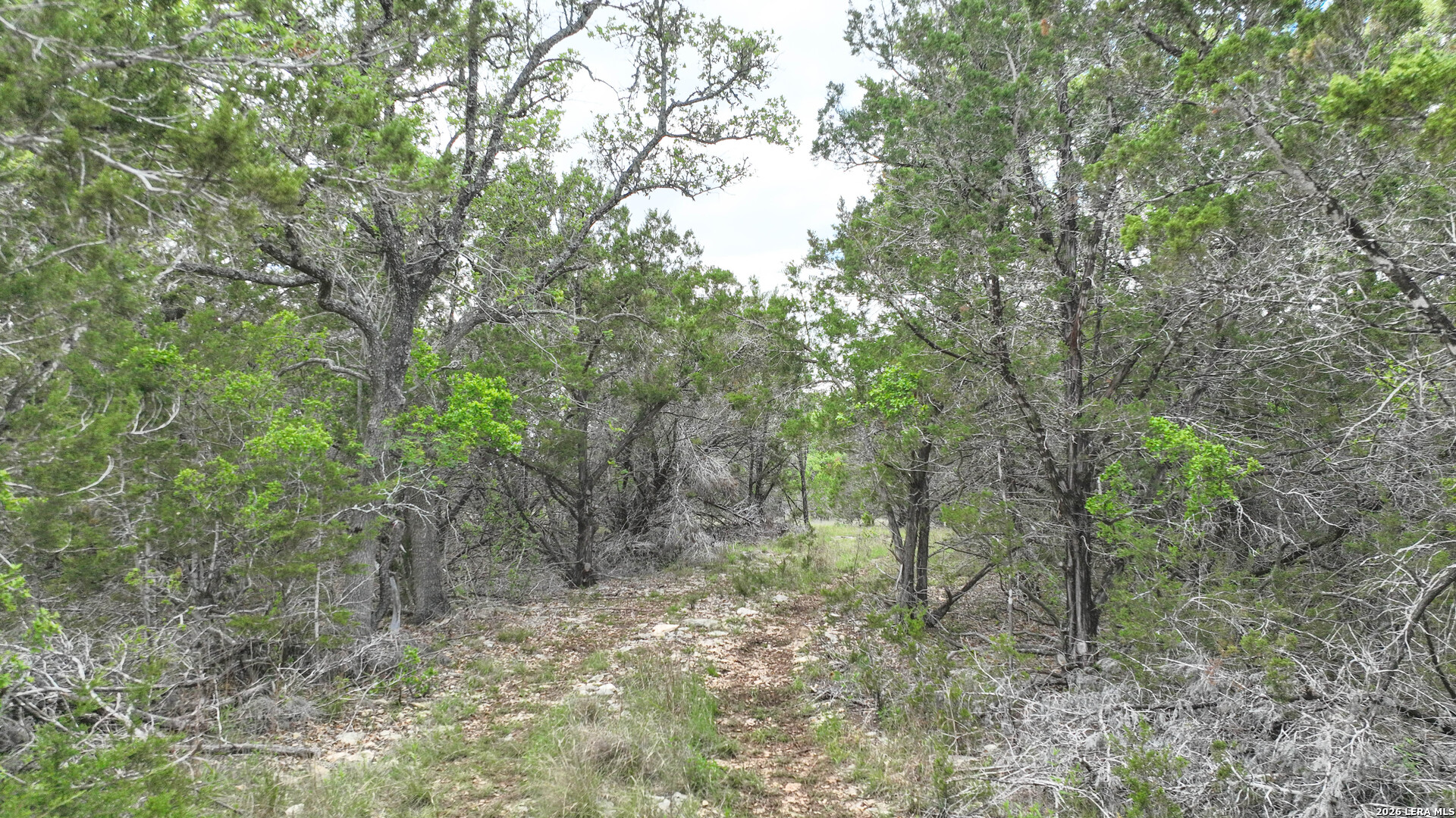 12033 Summer Meadows Spring Branch, TX 78070 - Photo 19 of 23