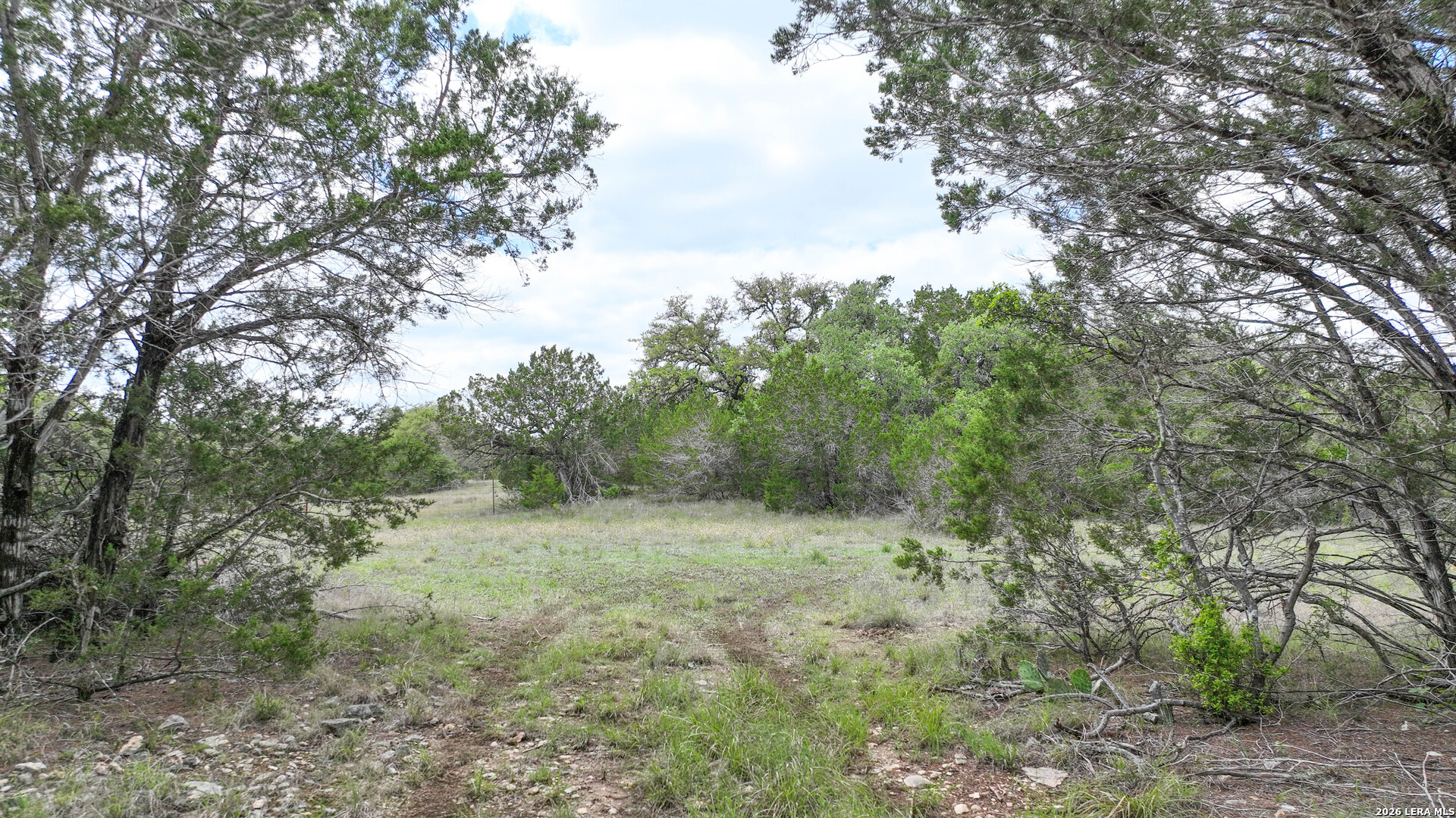 12033 Summer Meadows Spring Branch, TX 78070 - Photo 20 of 23