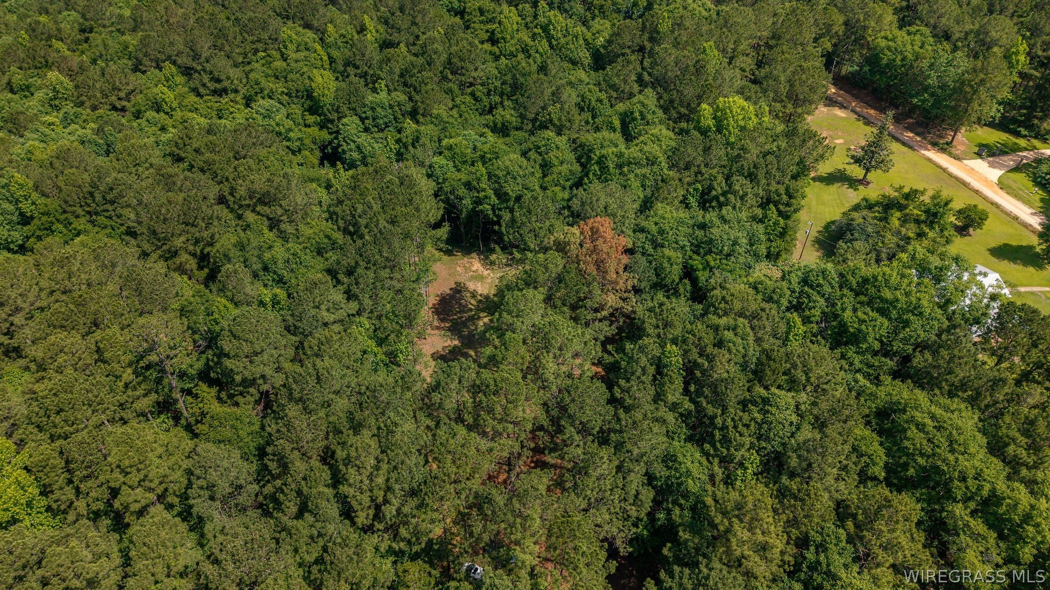 0 County Road 245 Road Elba, AL 36323 - Photo 22 of 27 Gallery Image 22