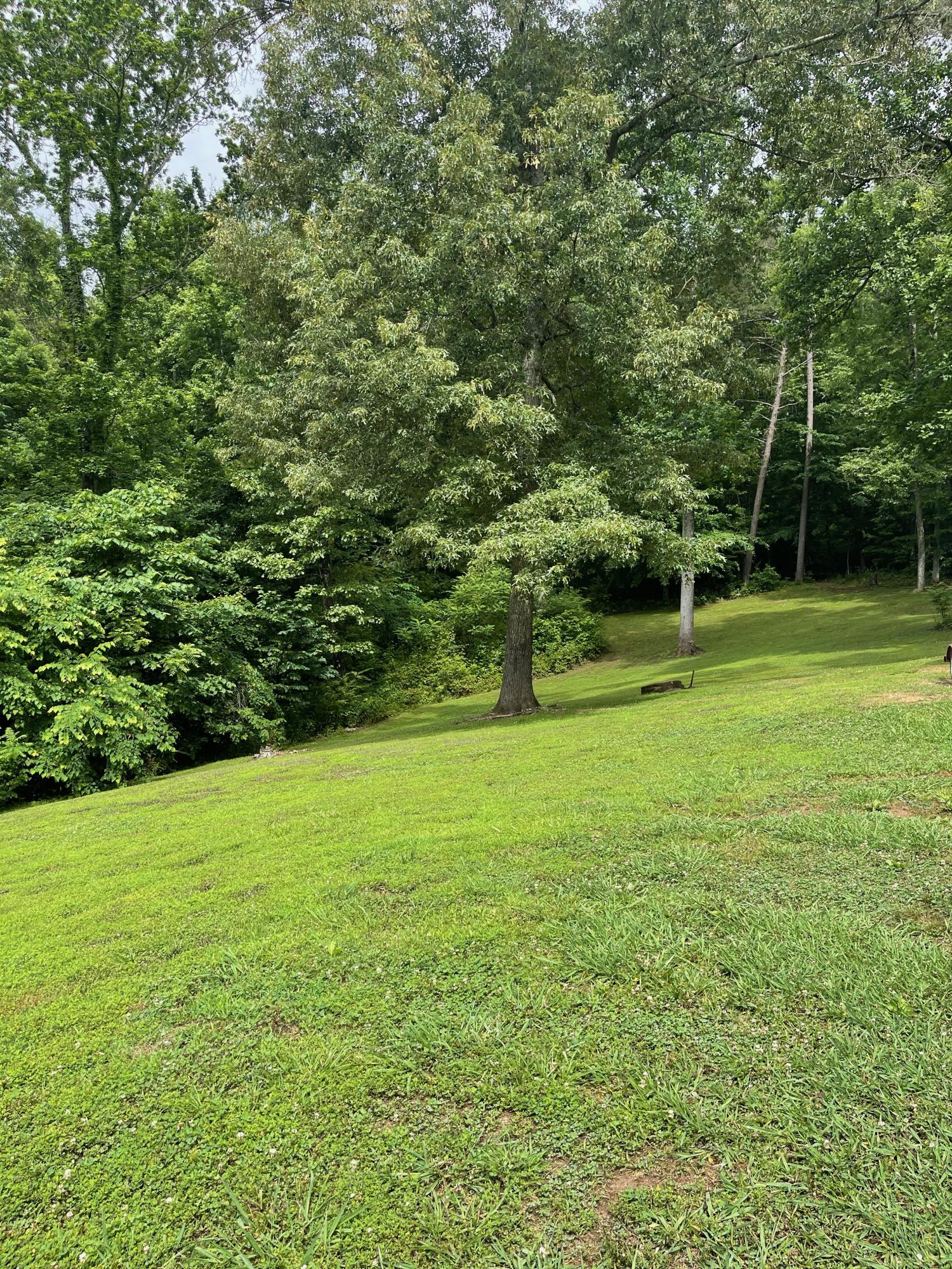 1093 Pleasant Grove Road Jasper, TN 37347 - Photo 17 of 21 IMG_5930