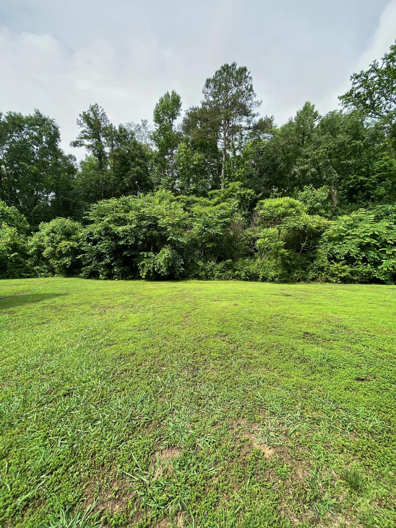 1093 Pleasant Grove Road Jasper, TN 37347 - Photo 19 of 21 IMG_5932