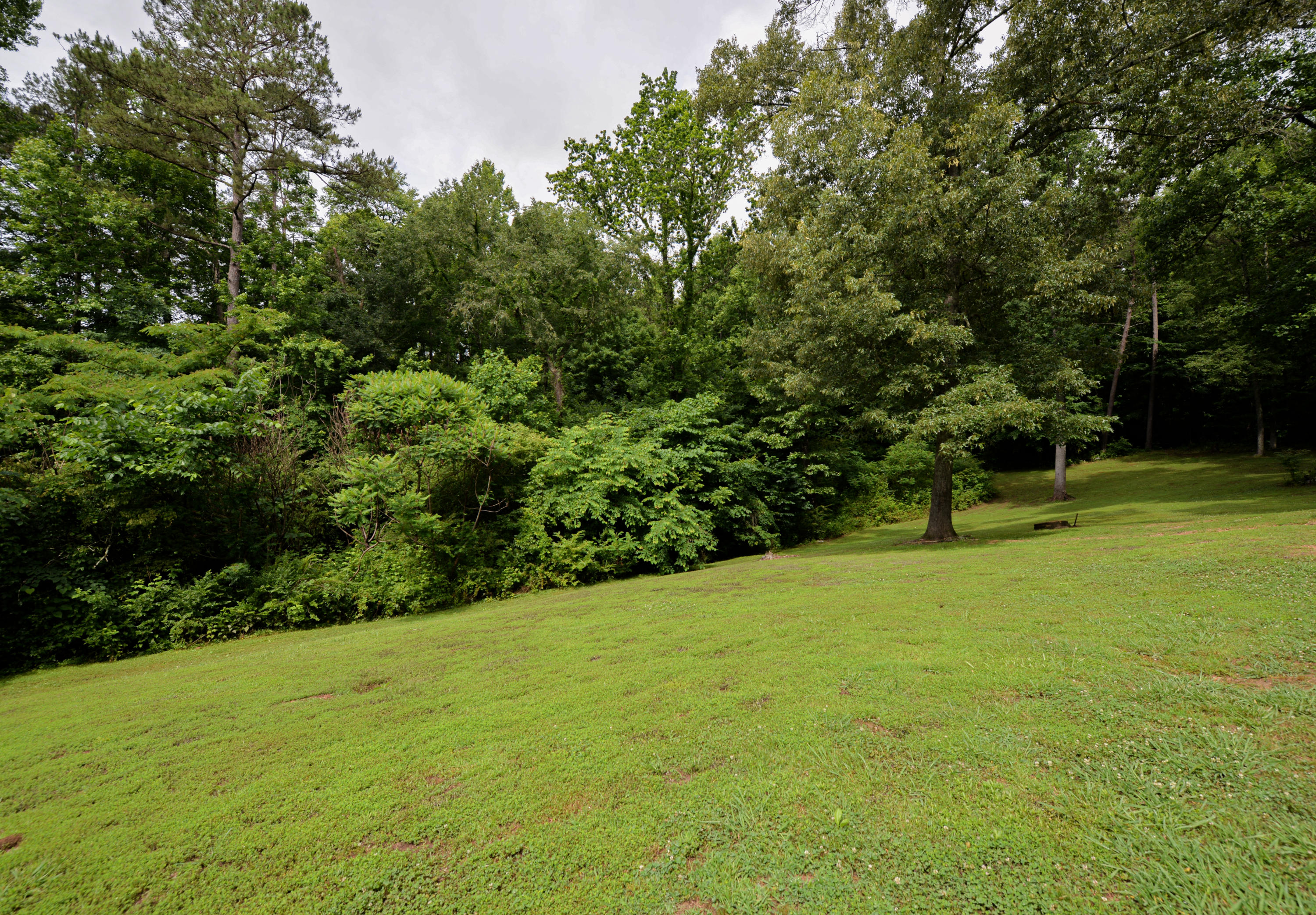 1093 Pleasant Grove Road Jasper, TN 37347 - Photo 20 of 21 DSC_4116