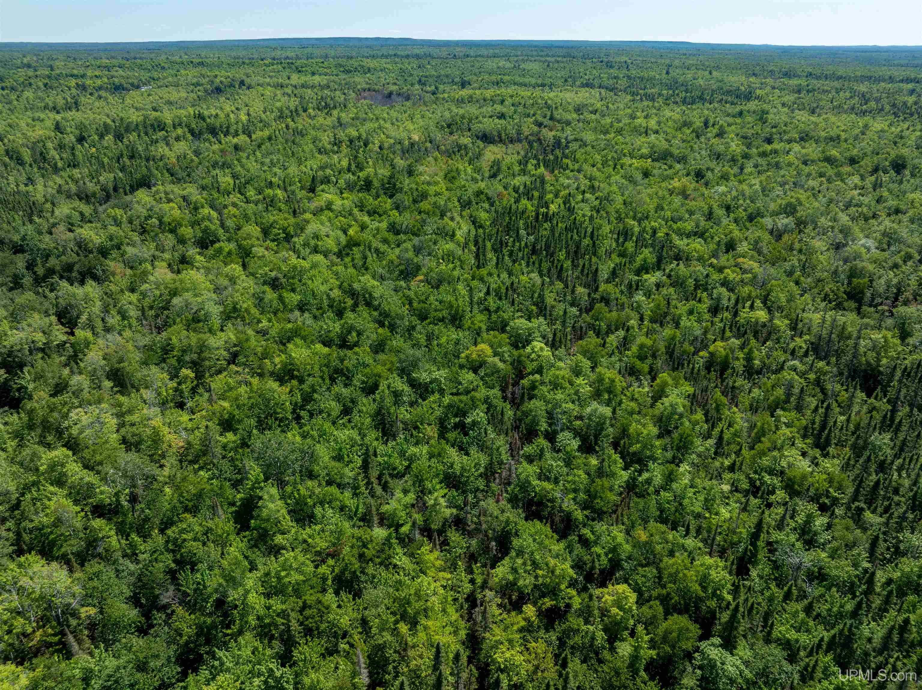 Tbd Lake Superior Point Road Deerton, MI 49822 - Photo 6 of 9
