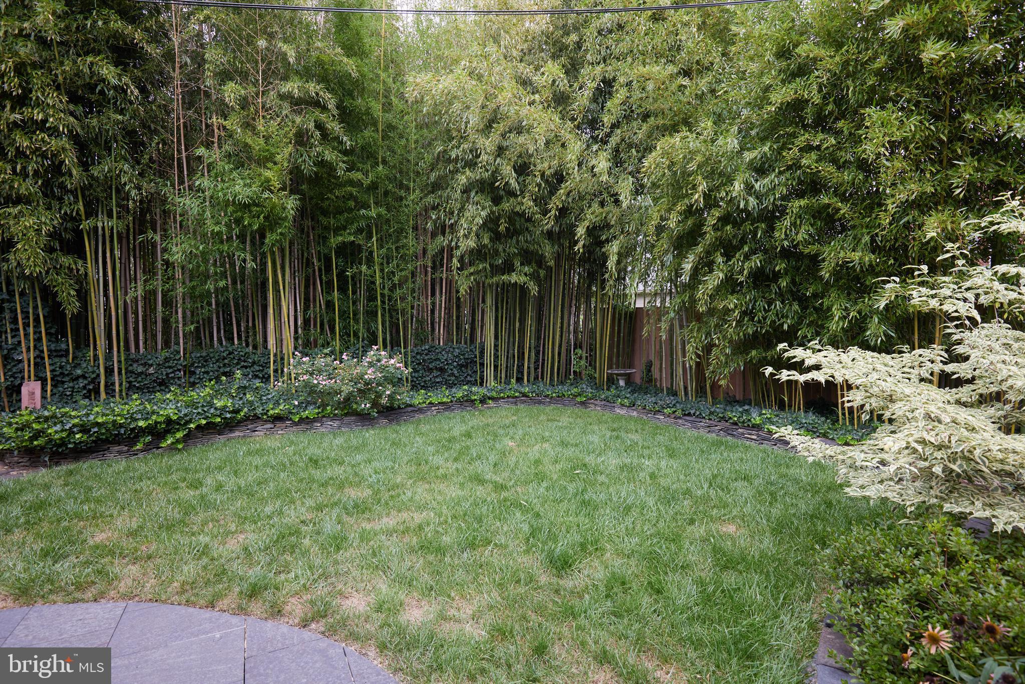 811 Violet Place Silver Spring, MD 20910 - Photo 36 of 42