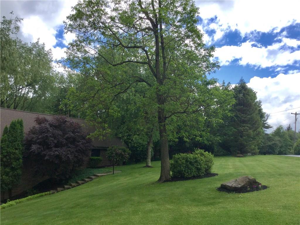 3636 Sandy Hill Road Gibsonia, PA 15044 - Photo 24 of 25 Front Yard: Lovely landscaped front yard with mature shrubs and trees.