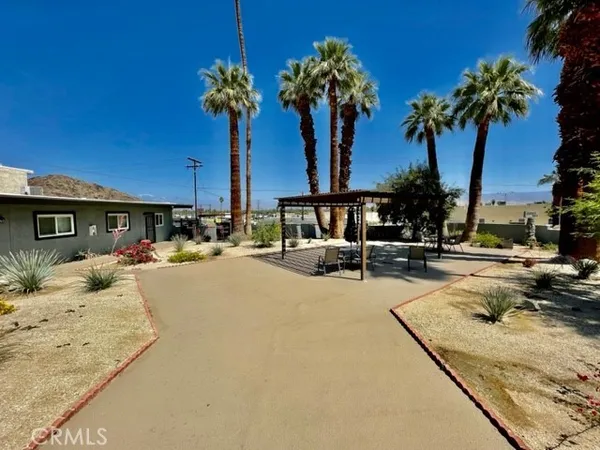 a row of palm trees sitting in front of a house