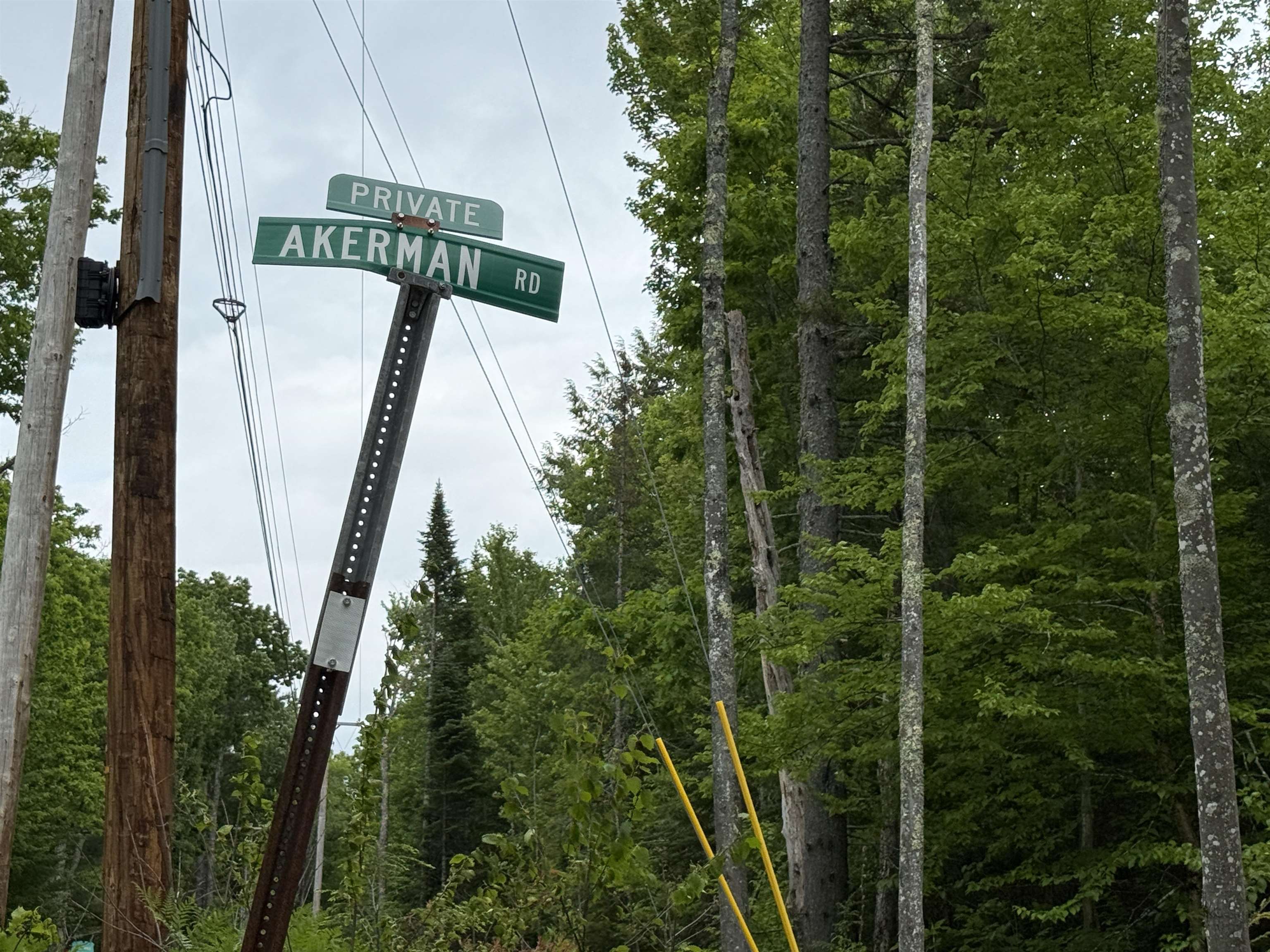 Lot 6 Akerman Road Alexandria, NH 03222 - Photo 8 of 16