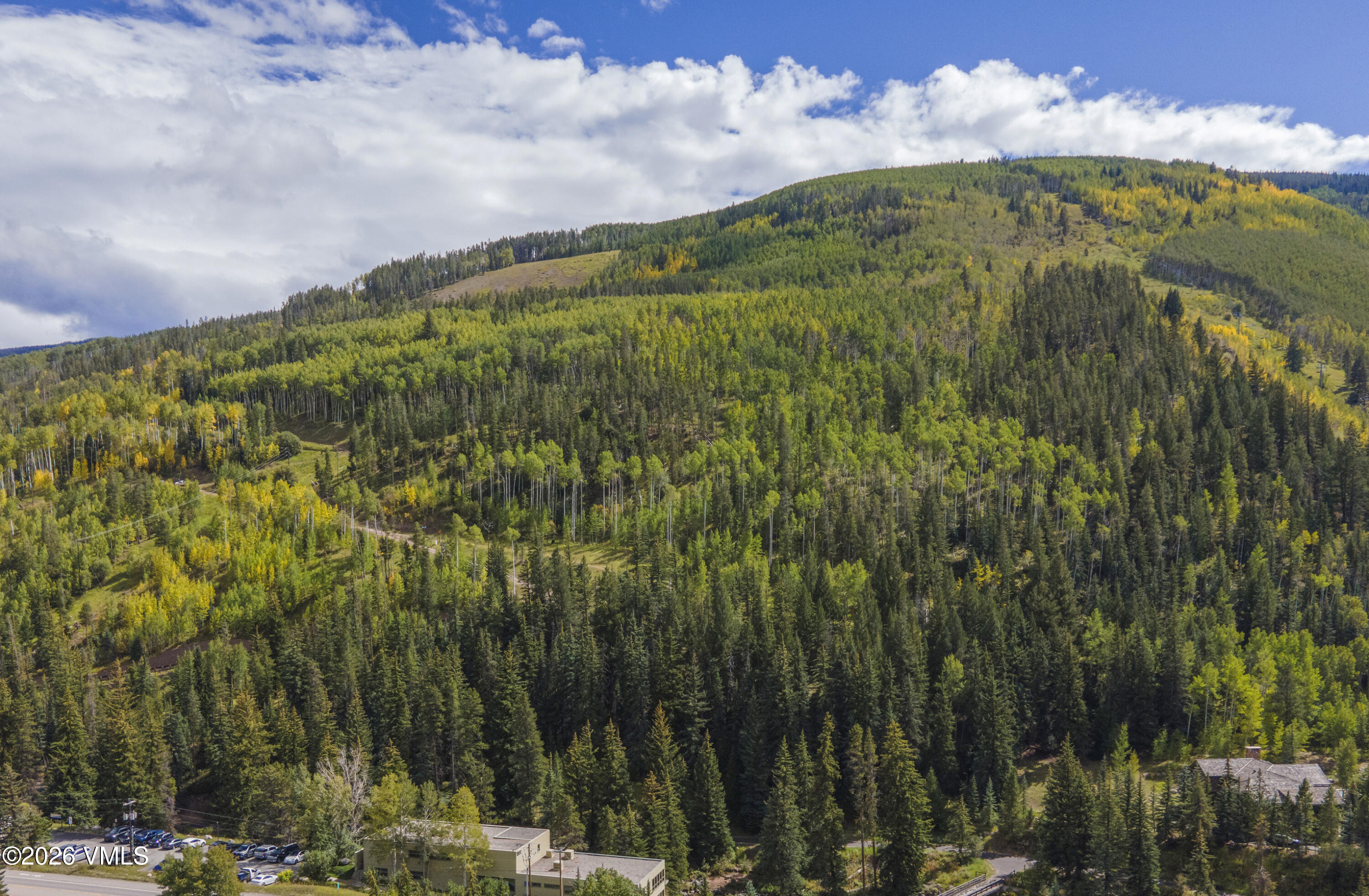 1100 North Frontage Road West, Unit 1523 Vail, CO 81657 - Photo 23 of 39 Simba-Run-1523-MLS_24