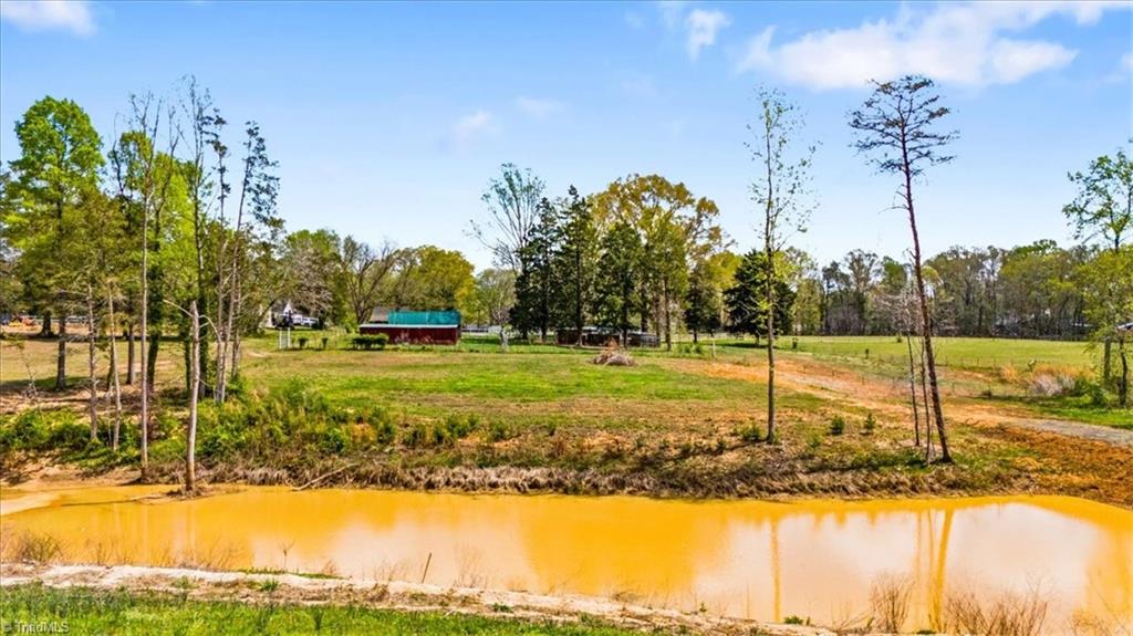 1664 Estes Road Ruffin, NC 27326 - Photo 49 of 50