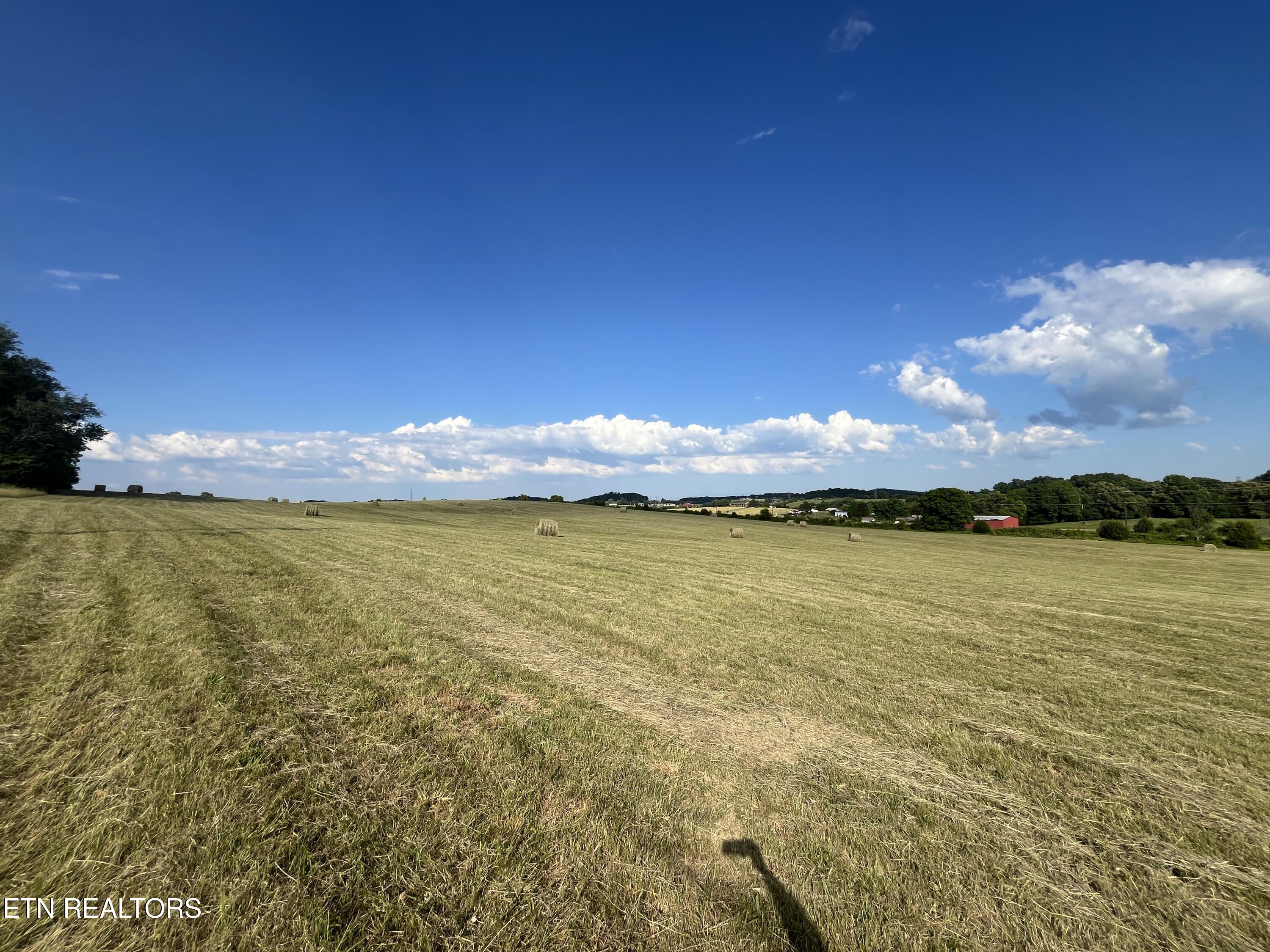 9.32 Acres Off Sam Martin Road Dandridge, TN 37725 - Photo 4 of 26 2