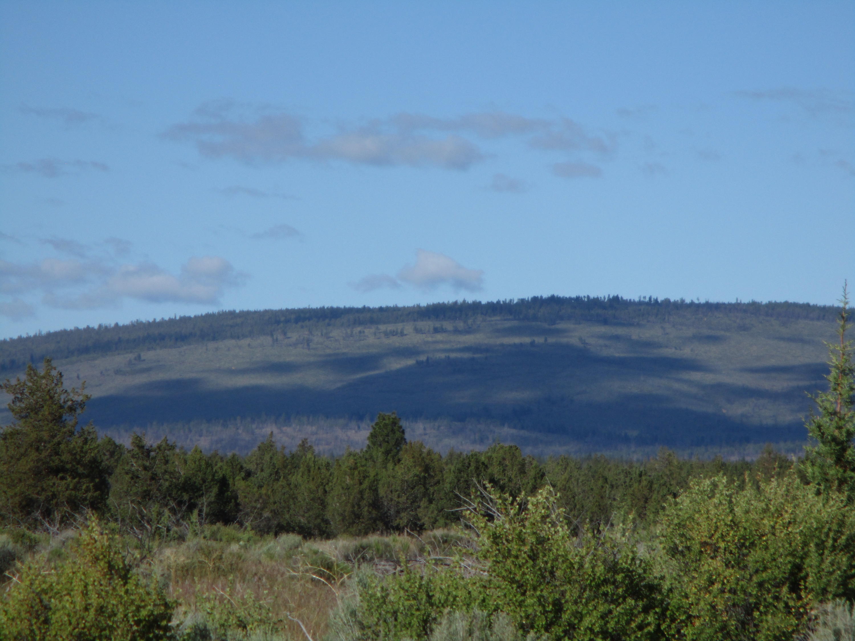 200 Southwest Graham Road Culver, OR 97734 - Photo 4 of 9 04