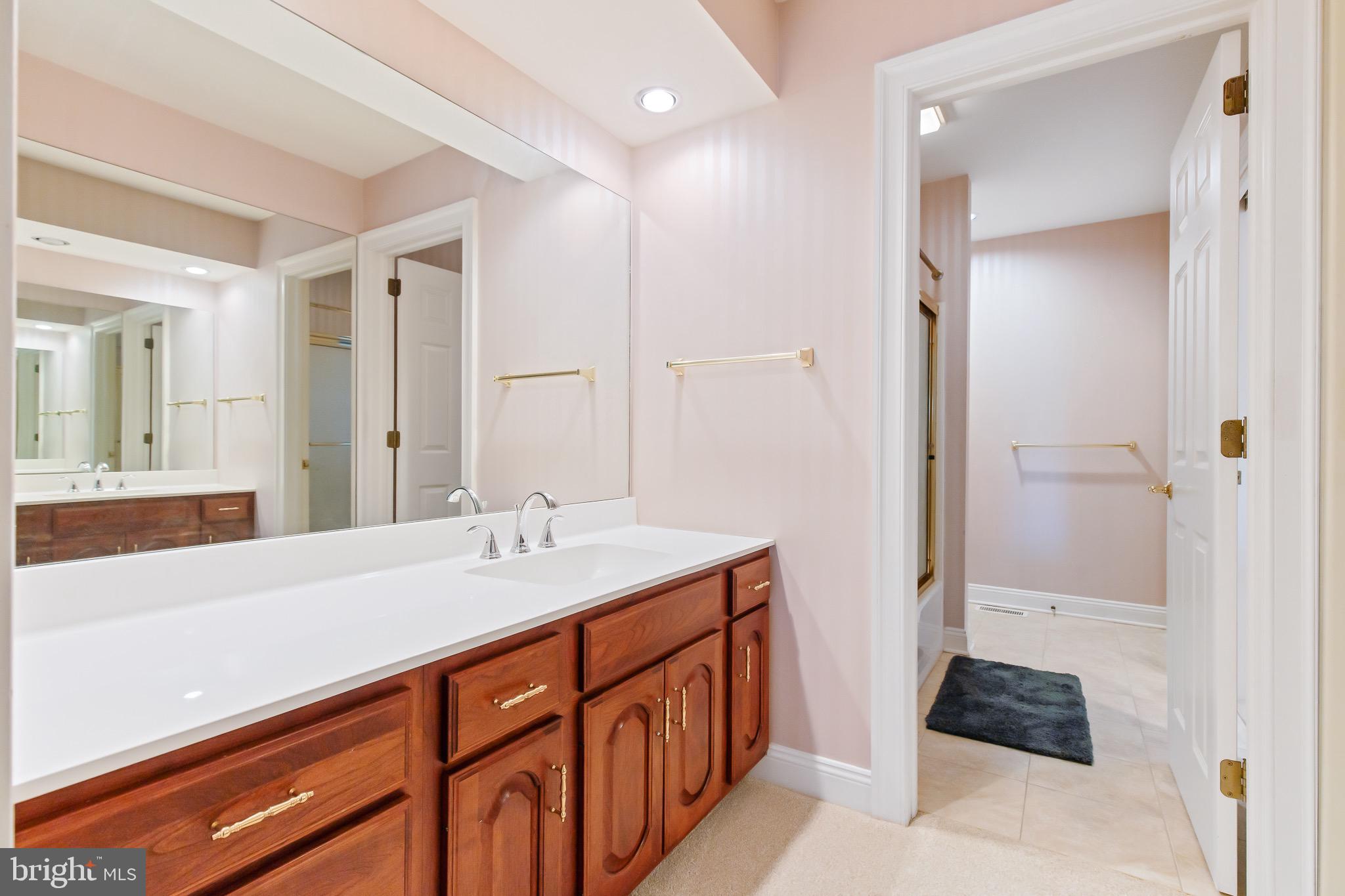 616 Northfield Road Lititz, PA 17543 - Photo 19 of 30 a bathroom with a sink a double vanity and a shower
