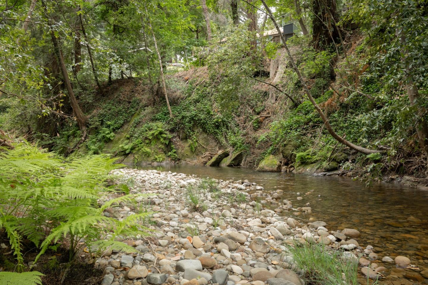 155 Brier Drive Boulder Creek, CA 95006 - Photo 20 of 42 a view of a yard with plants and large trees