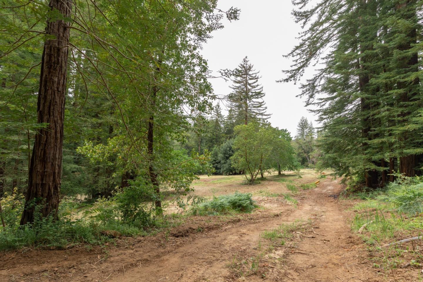 155 Brier Drive Boulder Creek, CA 95006 - Photo 26 of 42 a view of dirt field with trees in the background