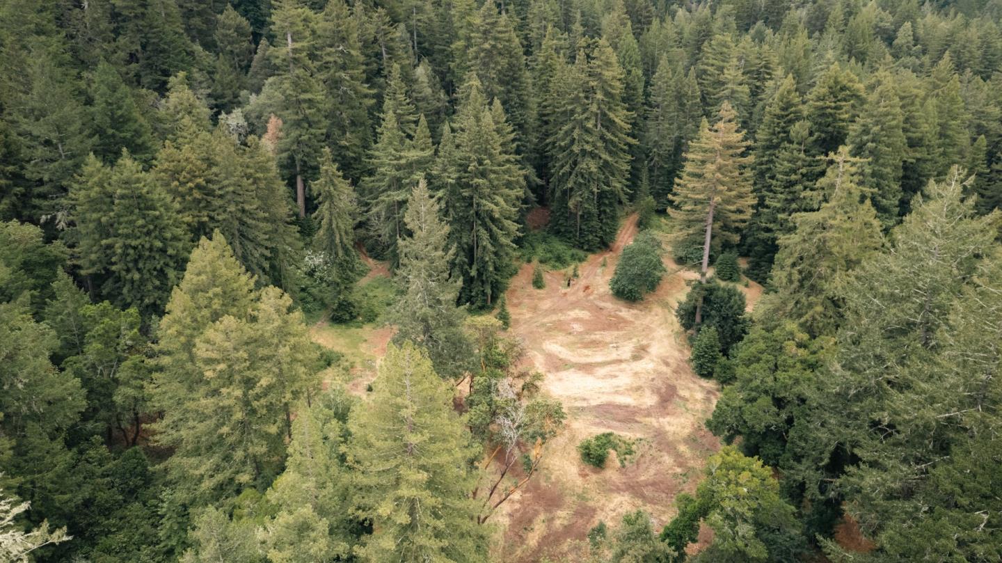 155 Brier Drive Boulder Creek, CA 95006 - Photo 29 of 42 a view of a yard with plants