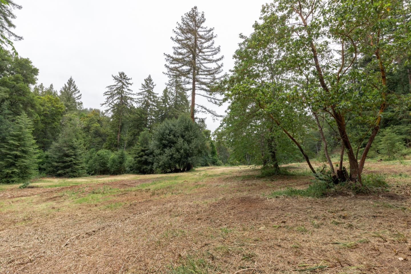 155 Brier Drive Boulder Creek, CA 95006 - Photo 3 of 42 a view of an outdoor space with yard