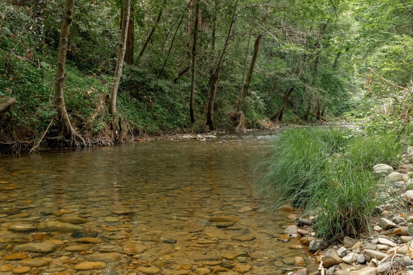 155 Brier Drive Boulder Creek, CA 95006 - Photo 4 of 42 a view of a lake view