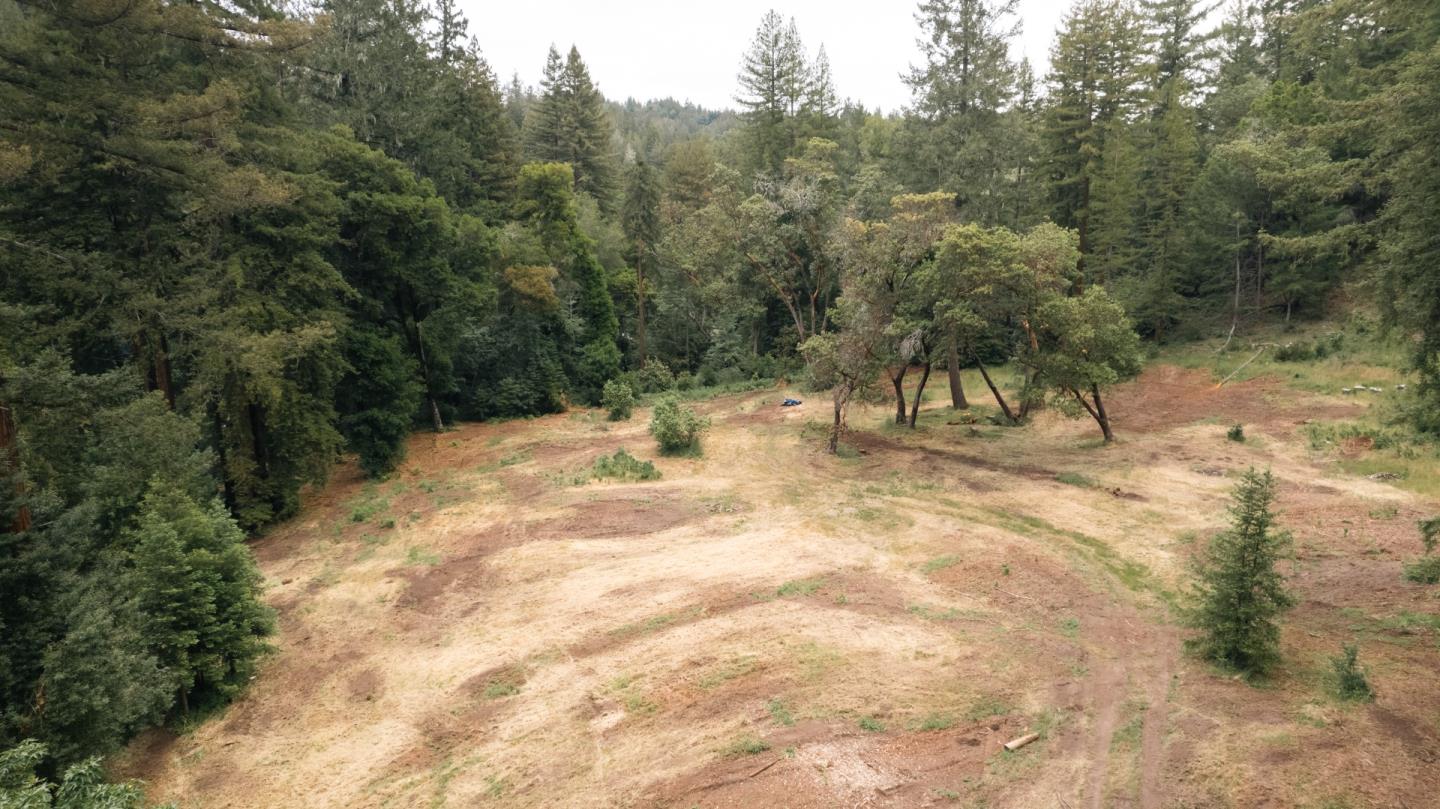 155 Brier Drive Boulder Creek, CA 95006 - Photo 41 of 42 a view of backyard with outdoor space