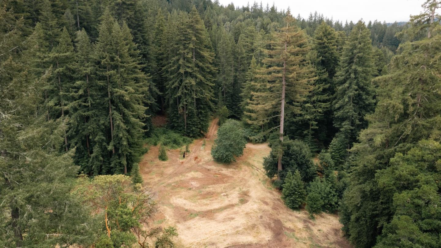 155 Brier Drive Boulder Creek, CA 95006 - Photo 42 of 42 a view of a forest with a house