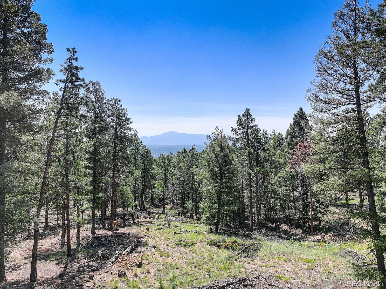 1002 Indian Creek Road Florissant, CO 80816 - Photo 1 of 29