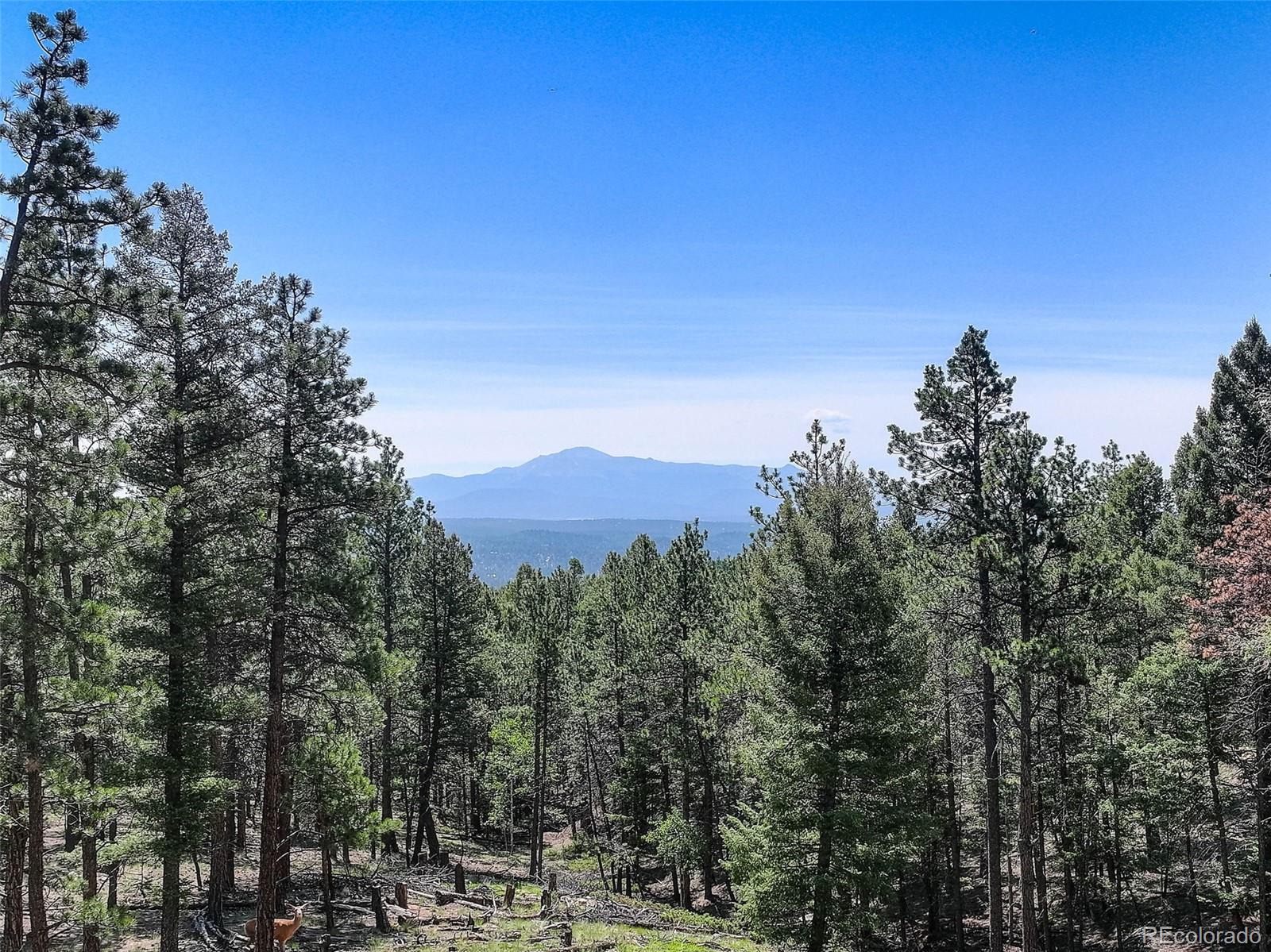 1002 Indian Creek Road Florissant, CO 80816 - Photo 12 of 29