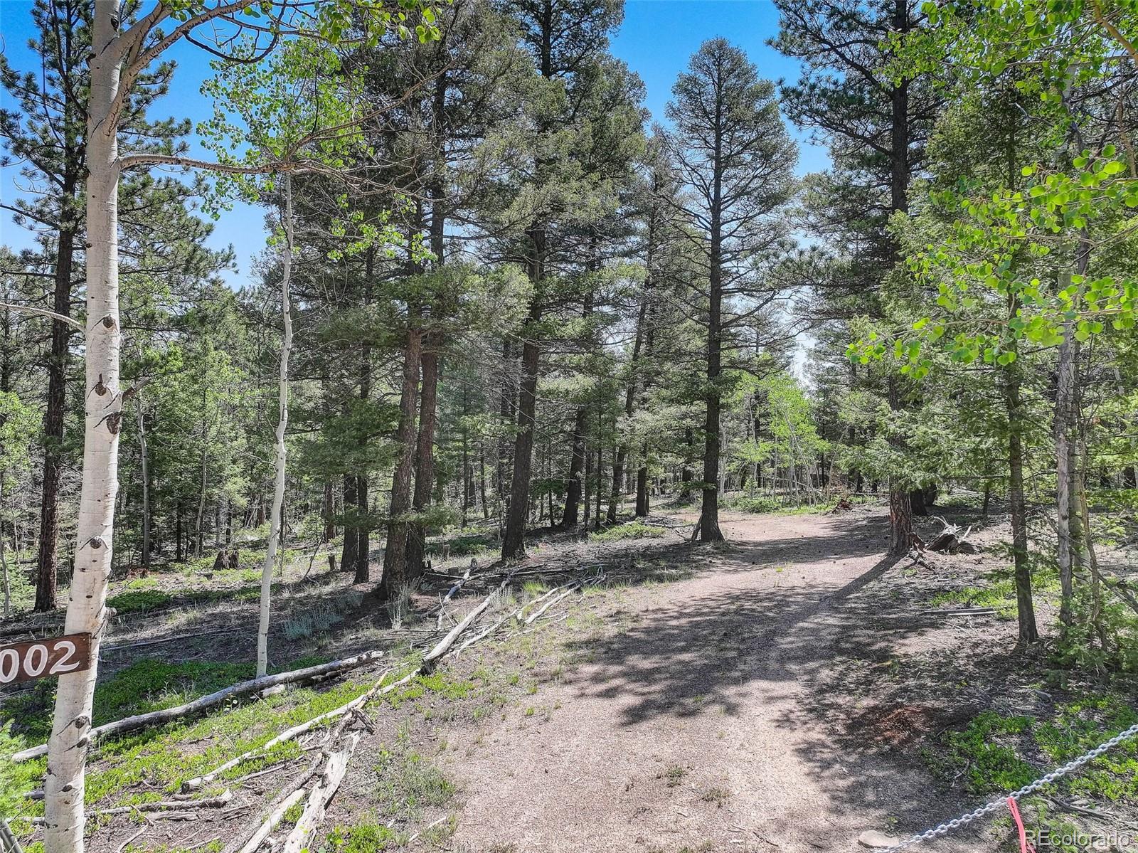 1002 Indian Creek Road Florissant, CO 80816 - Photo 13 of 29