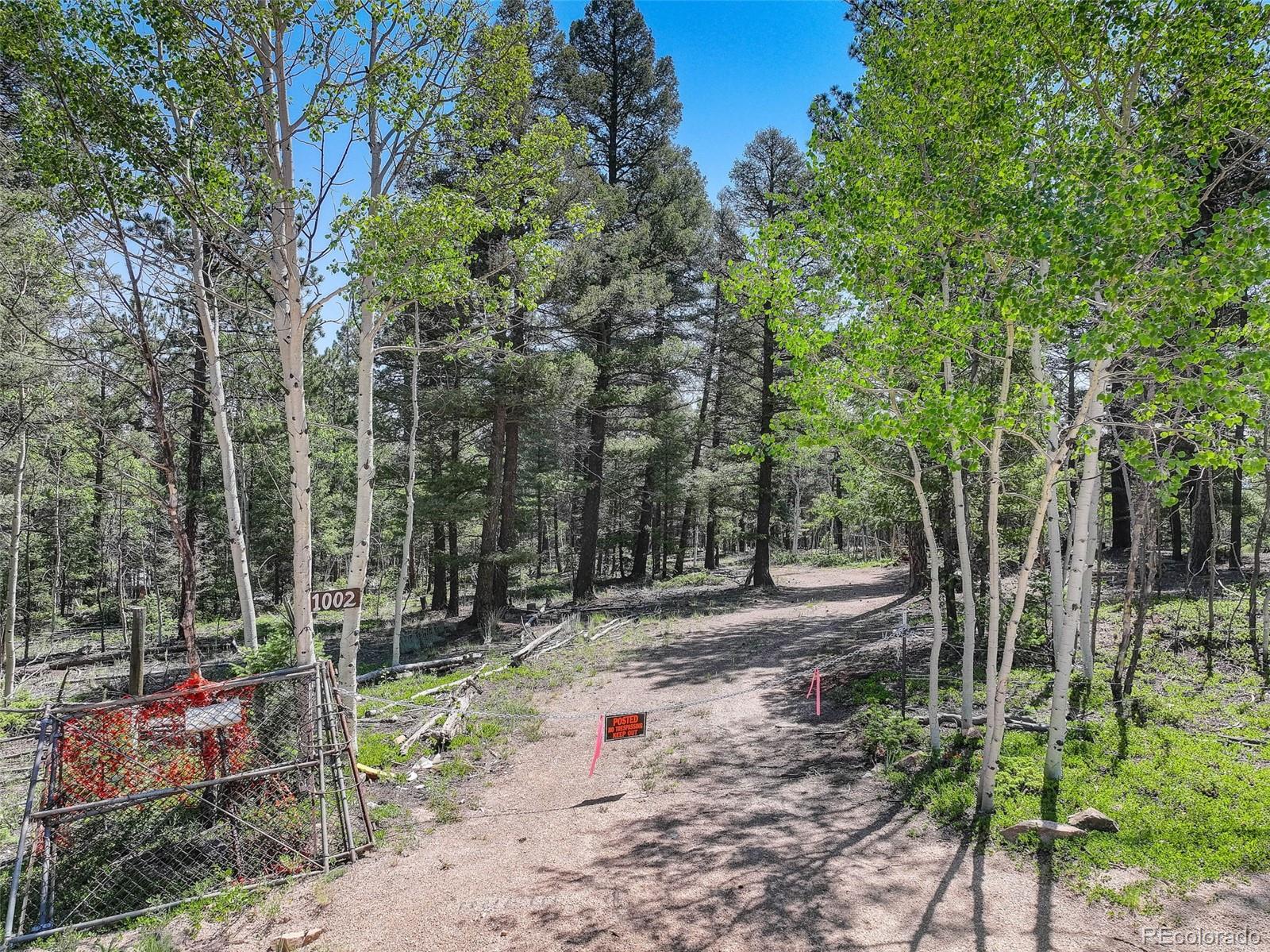 1002 Indian Creek Road Florissant, CO 80816 - Photo 14 of 29
