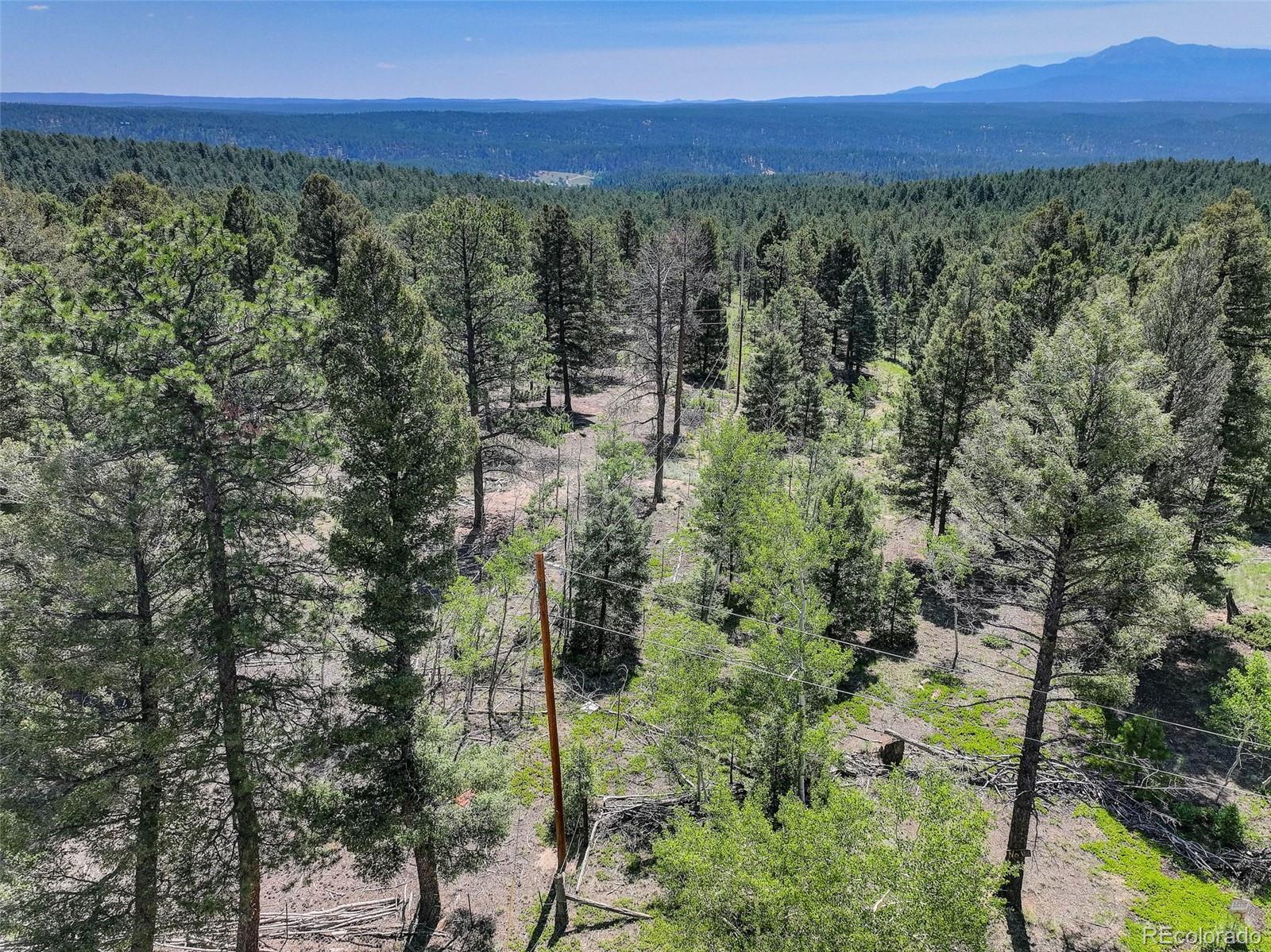 1002 Indian Creek Road Florissant, CO 80816 - Photo 15 of 29