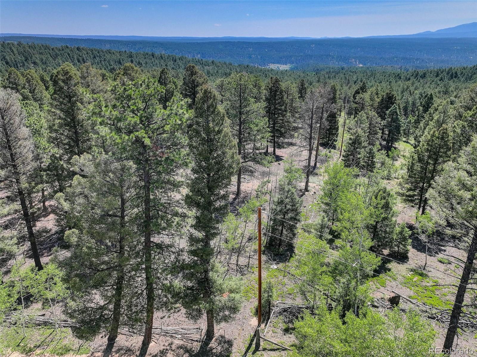 1002 Indian Creek Road Florissant, CO 80816 - Photo 16 of 29