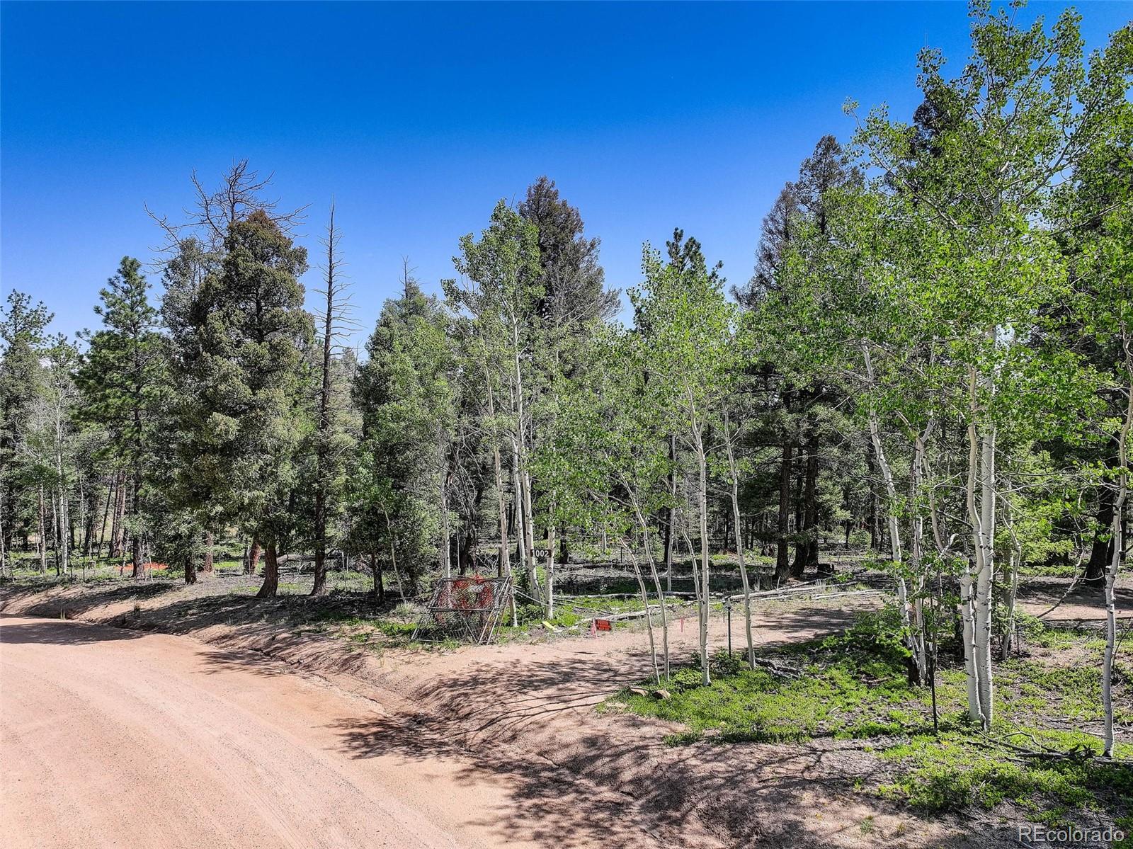 1002 Indian Creek Road Florissant, CO 80816 - Photo 17 of 29