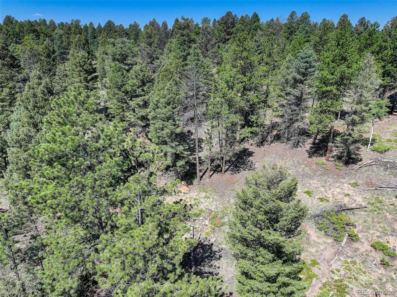1002 Indian Creek Road Florissant, CO 80816 - Photo 19 of 29