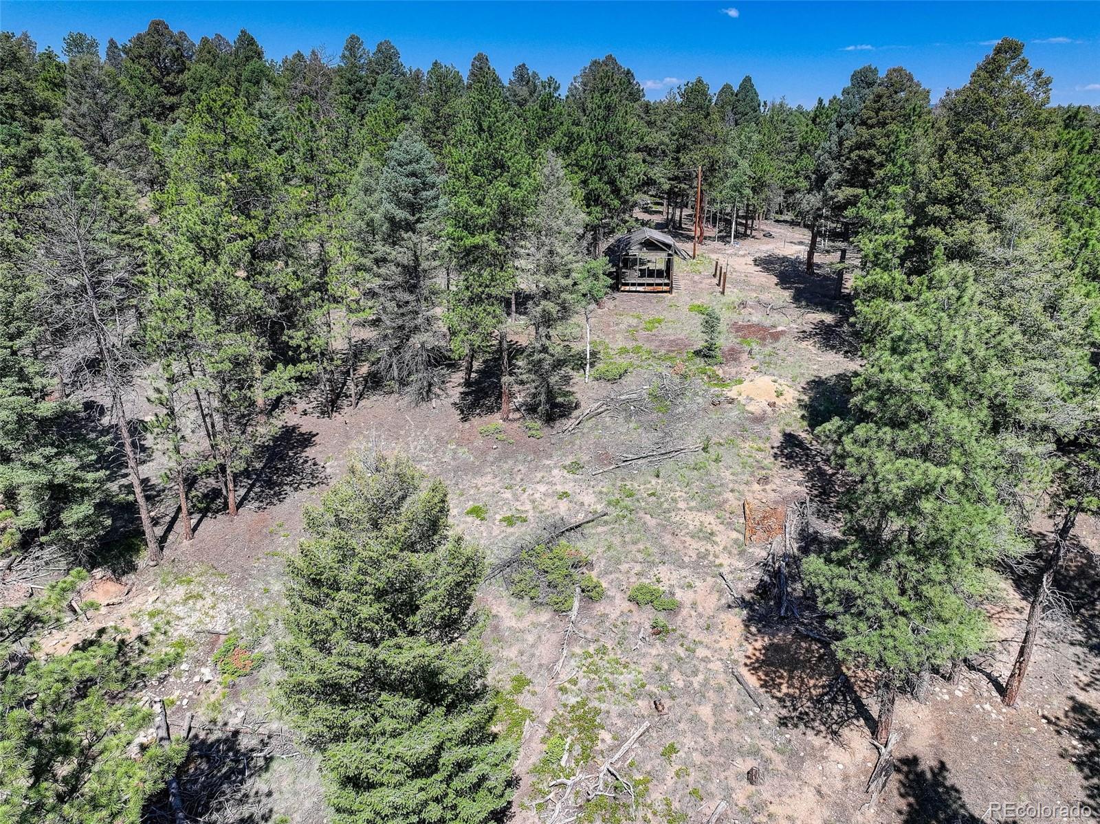 1002 Indian Creek Road Florissant, CO 80816 - Photo 20 of 29
