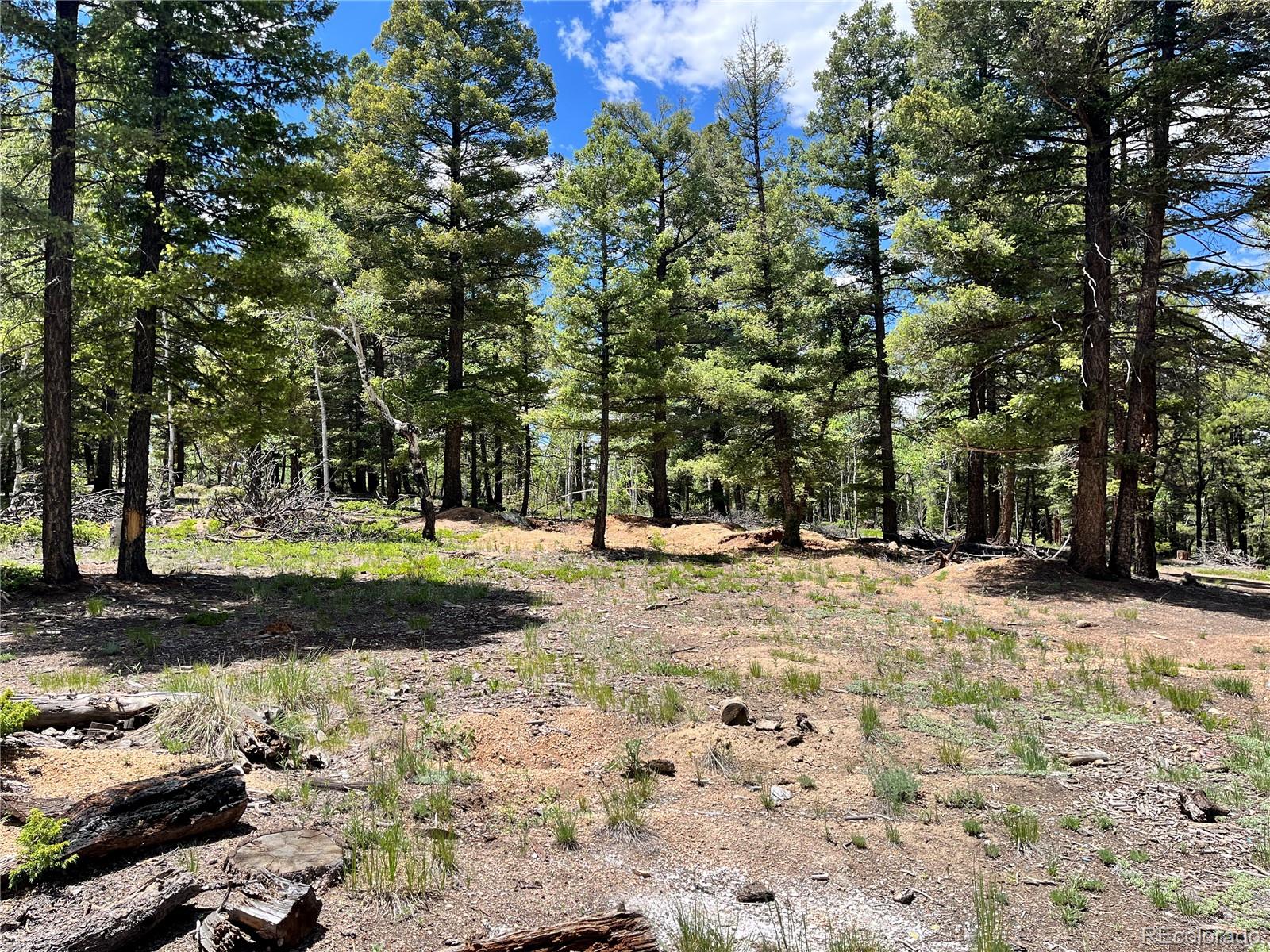 1002 Indian Creek Road Florissant, CO 80816 - Photo 2 of 29