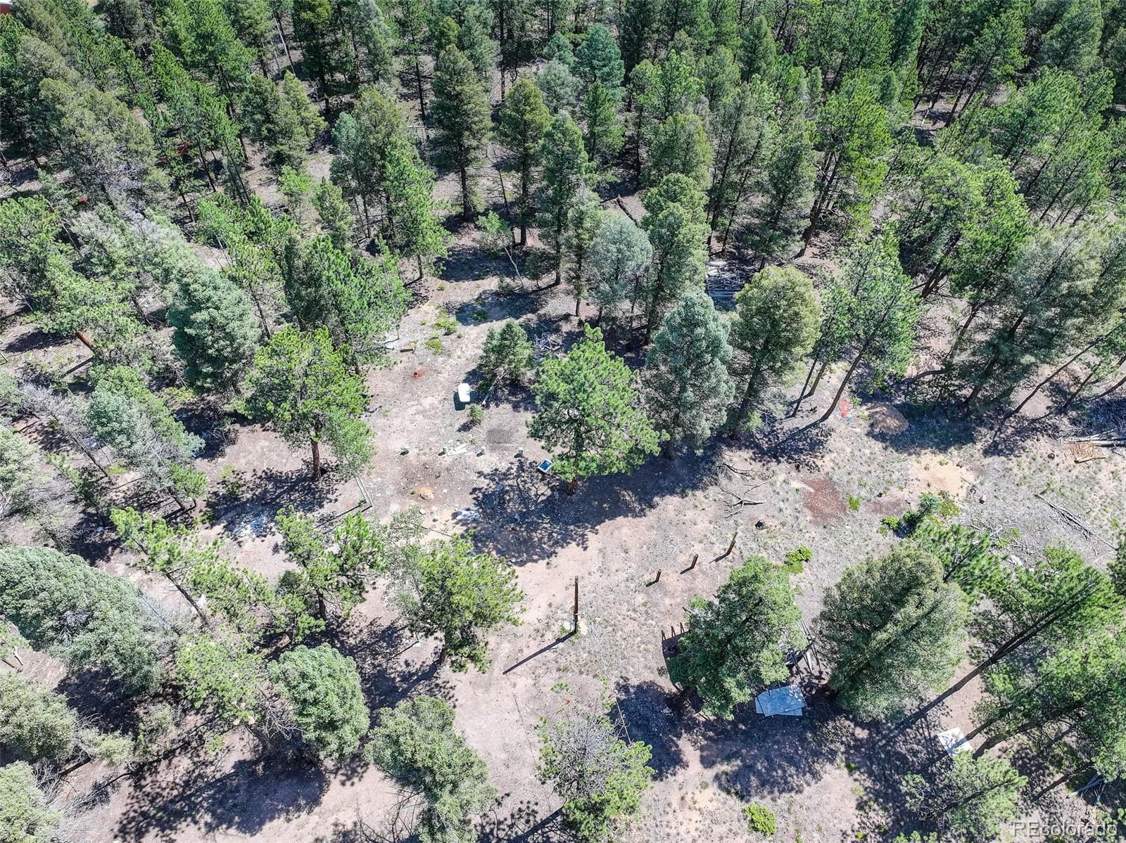 1002 Indian Creek Road Florissant, CO 80816 - Photo 21 of 29