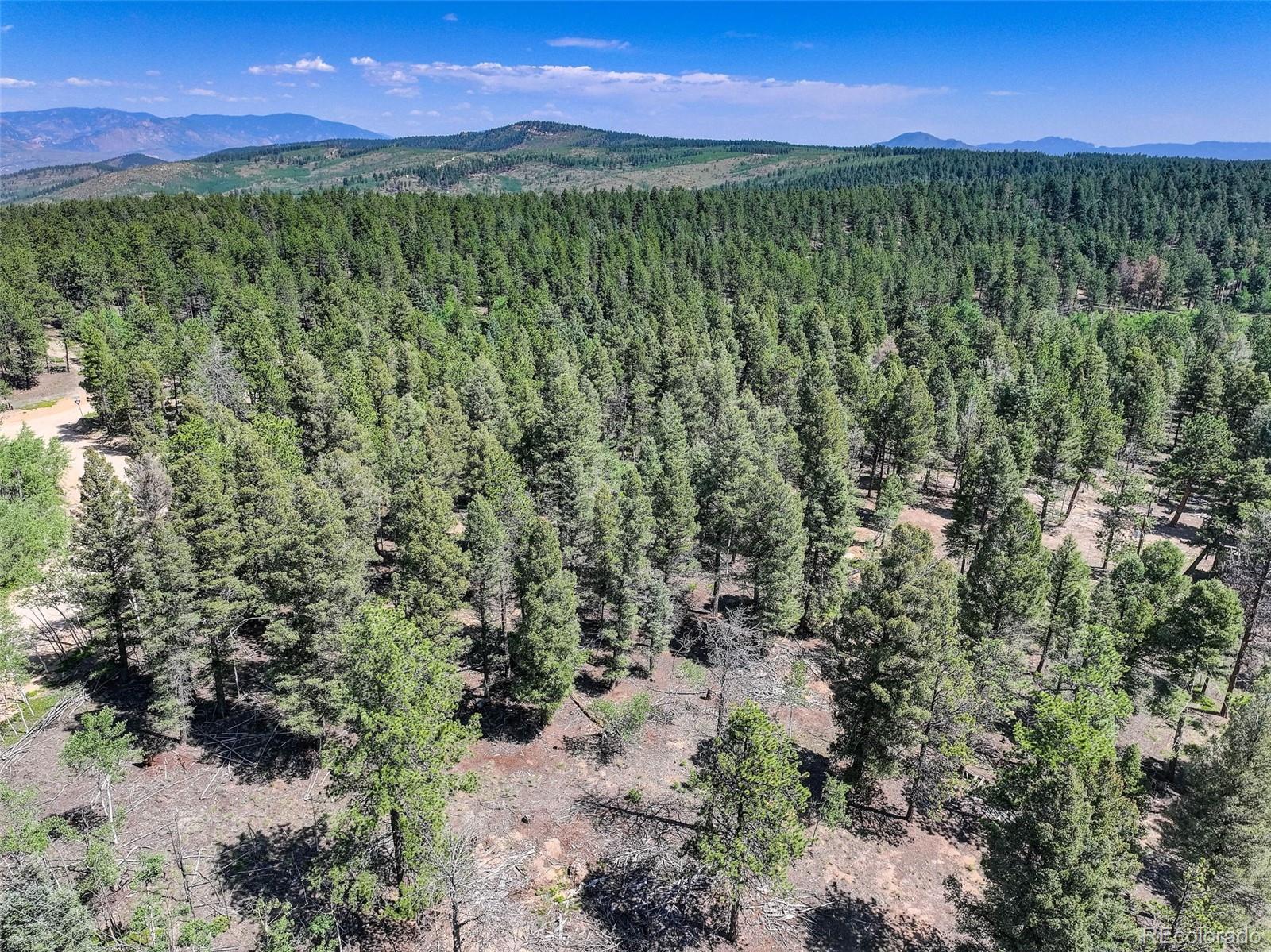 1002 Indian Creek Road Florissant, CO 80816 - Photo 22 of 29