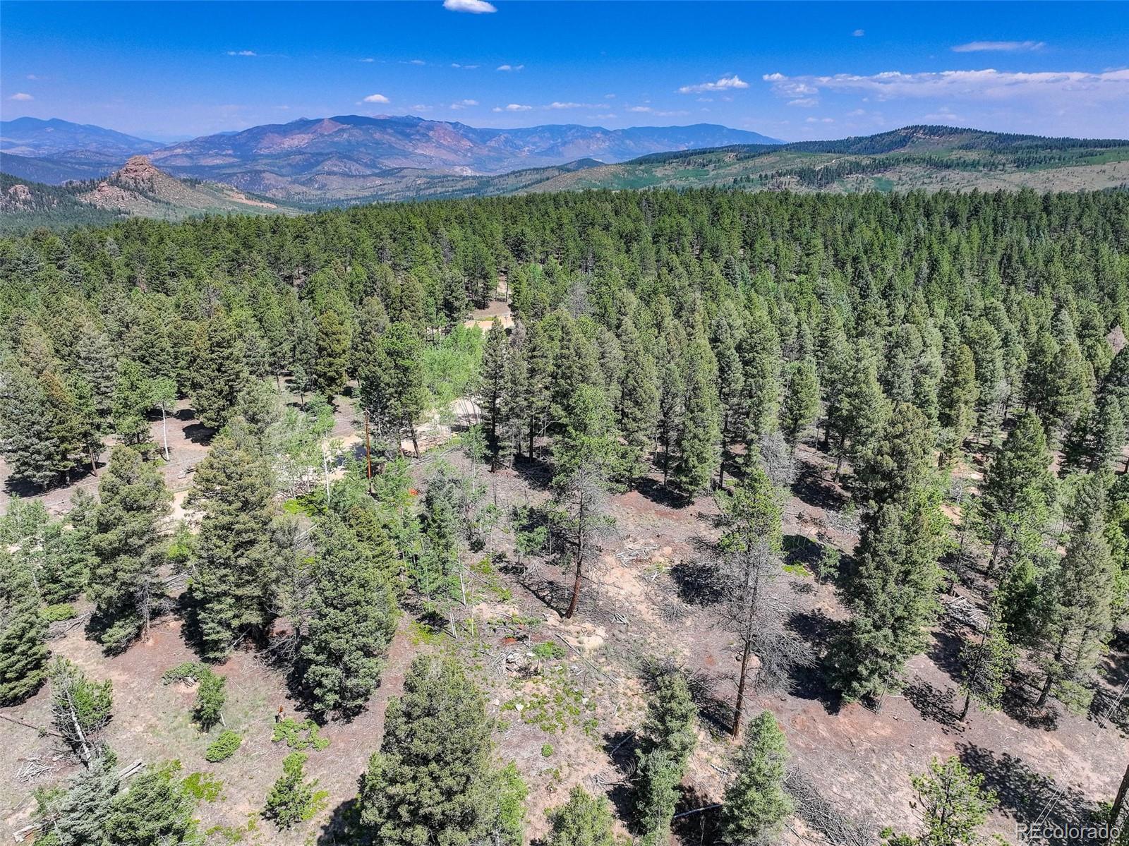 1002 Indian Creek Road Florissant, CO 80816 - Photo 23 of 29