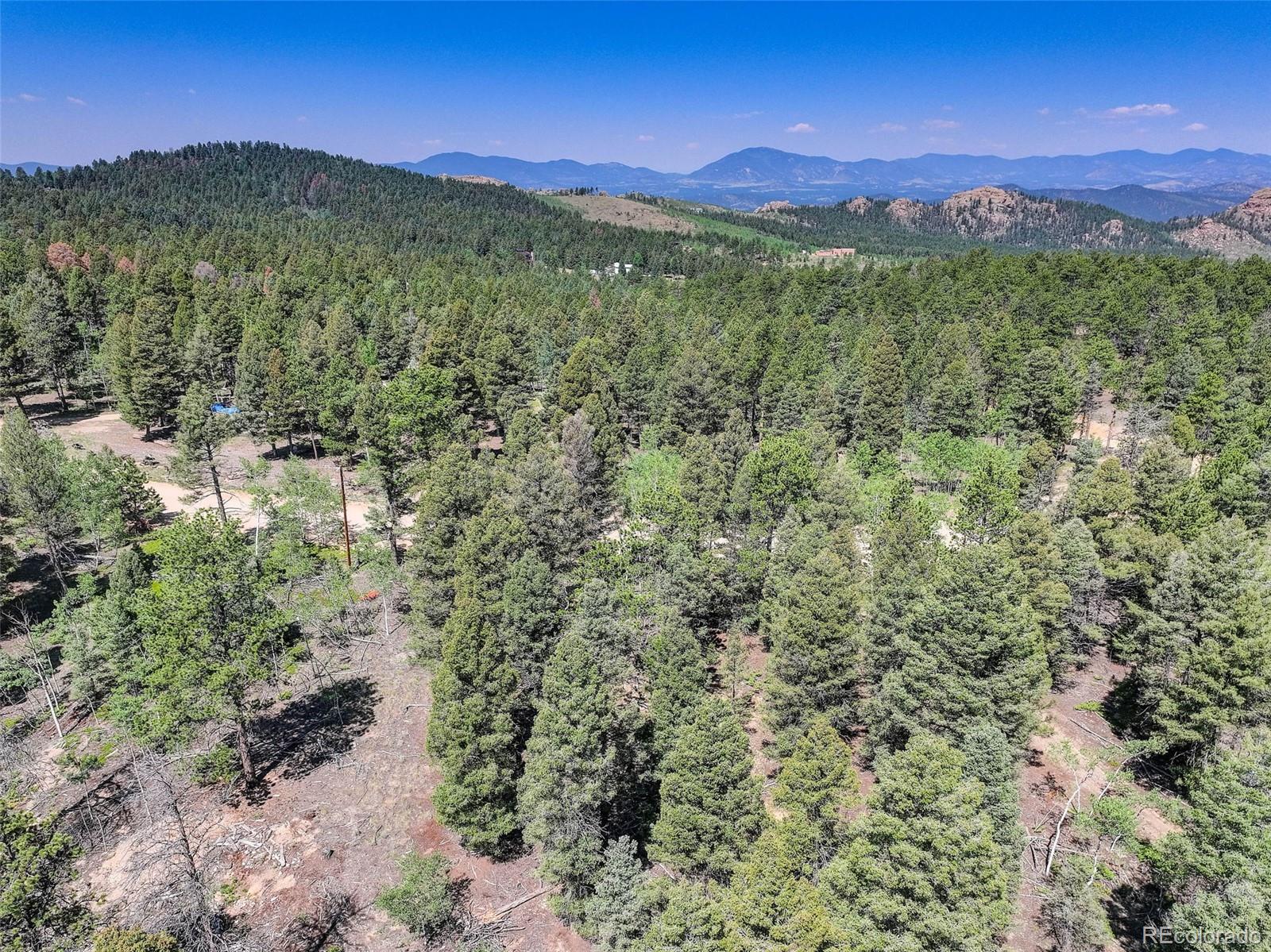 1002 Indian Creek Road Florissant, CO 80816 - Photo 25 of 29