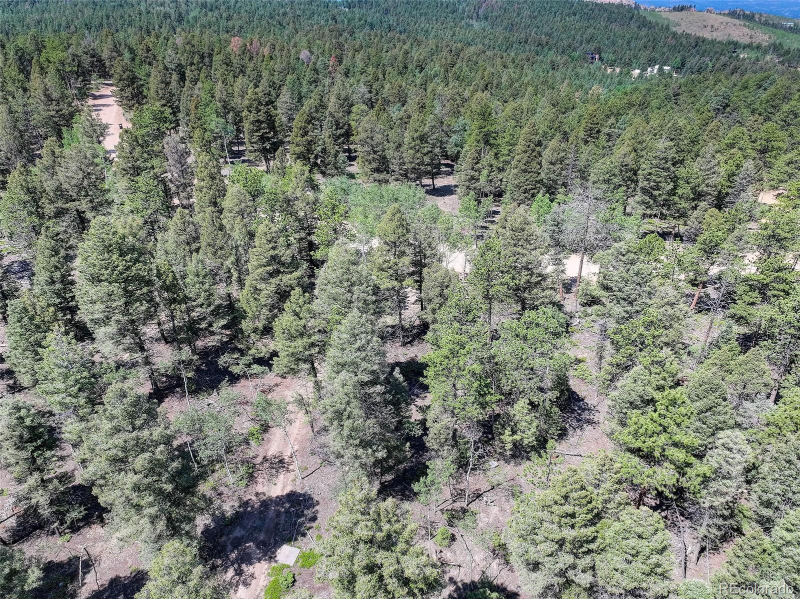 1002 Indian Creek Road Florissant, CO 80816 - Photo 26 of 29
