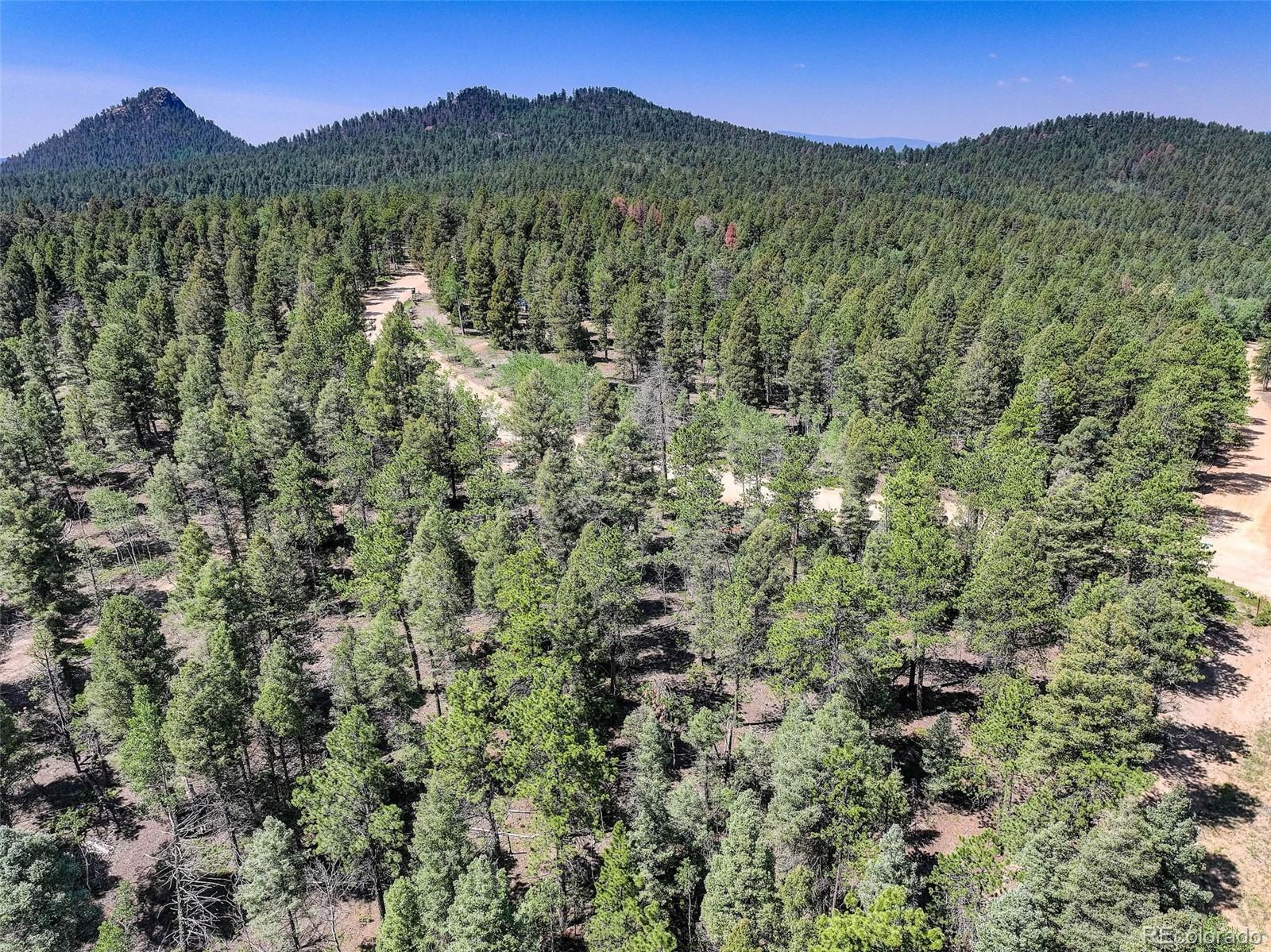 1002 Indian Creek Road Florissant, CO 80816 - Photo 27 of 29