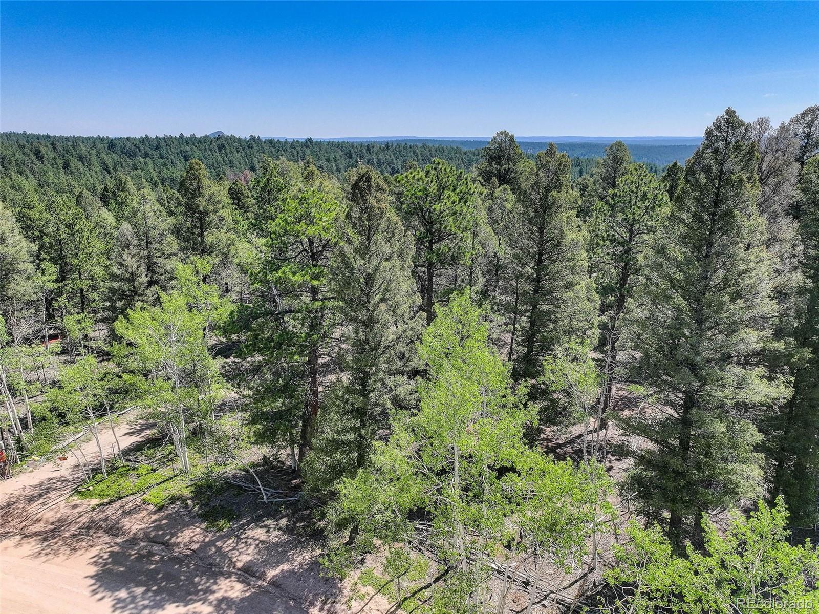 1002 Indian Creek Road Florissant, CO 80816 - Photo 29 of 29