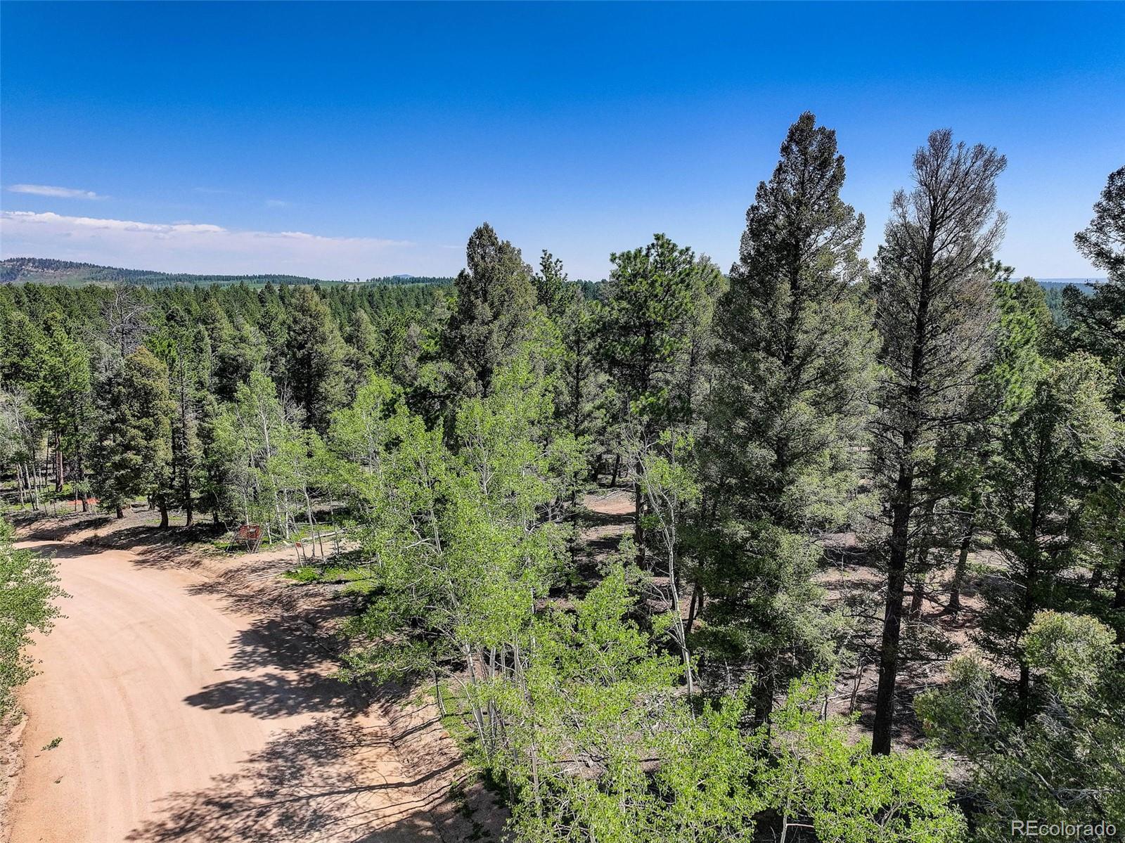 1002 Indian Creek Road Florissant, CO 80816 - Photo 4 of 29