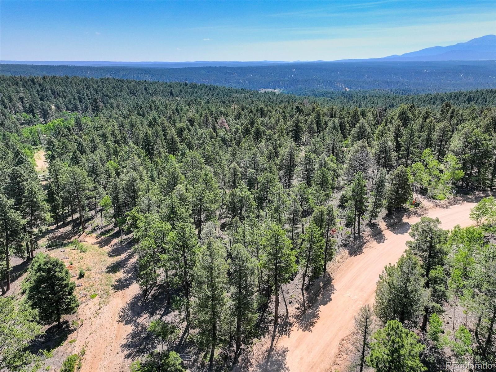 1002 Indian Creek Road Florissant, CO 80816 - Photo 5 of 29
