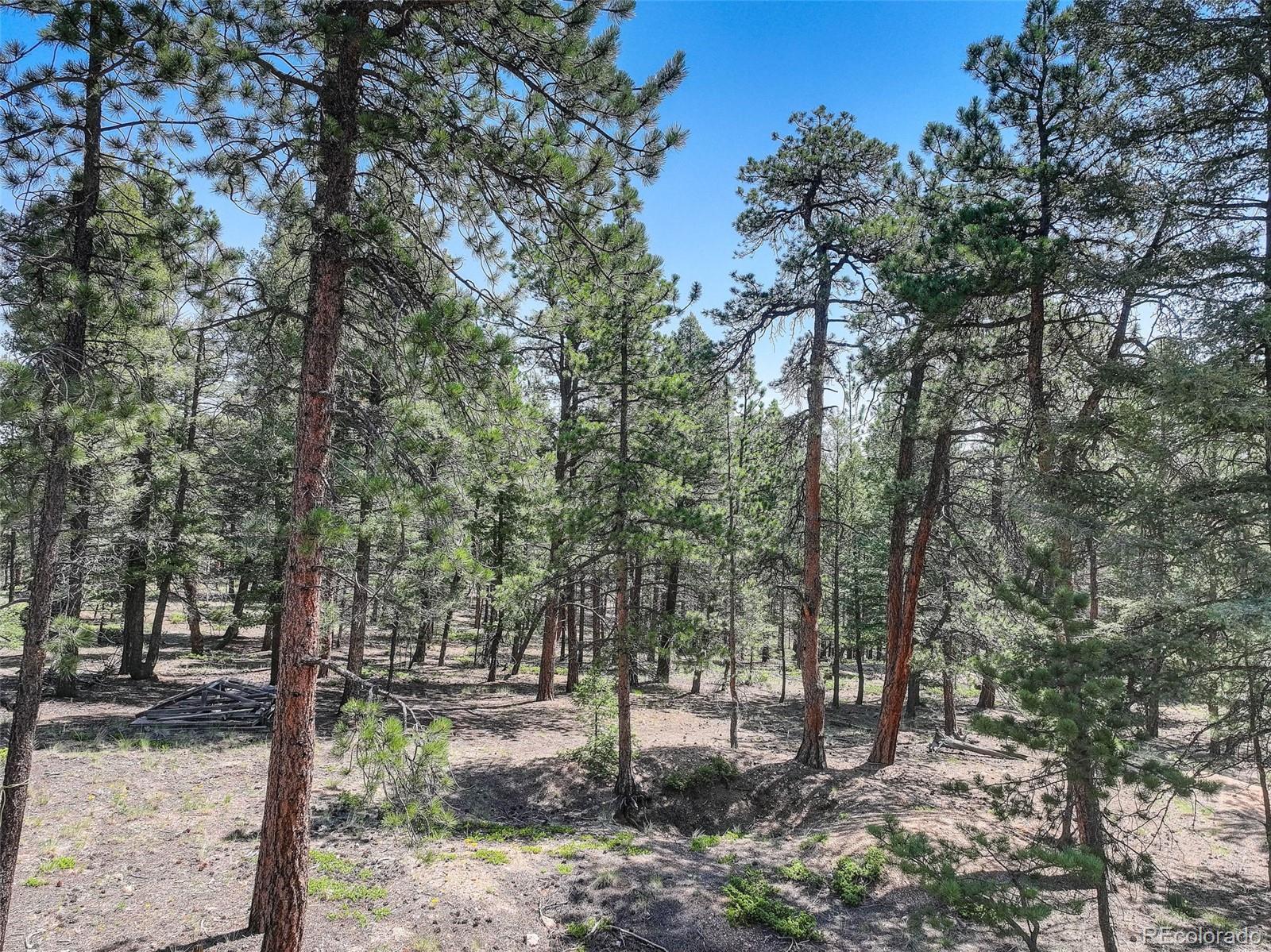1002 Indian Creek Road Florissant, CO 80816 - Photo 6 of 29