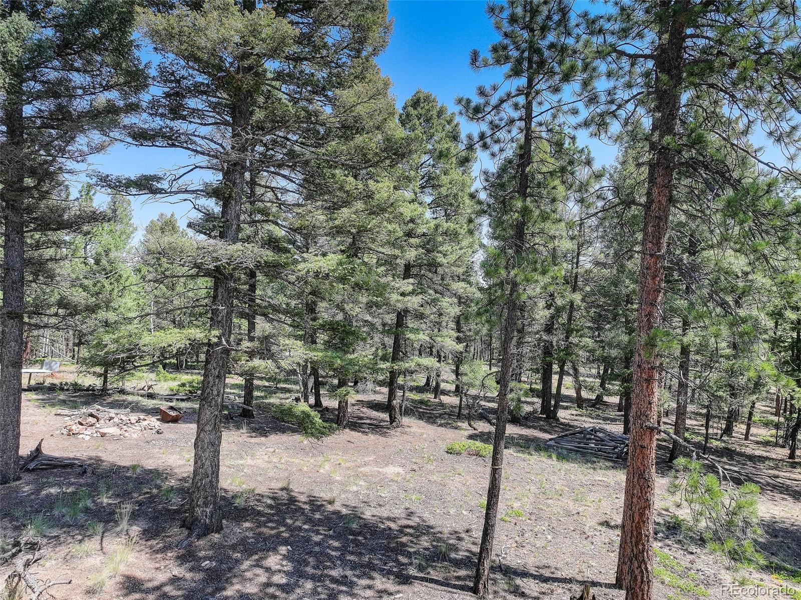1002 Indian Creek Road Florissant, CO 80816 - Photo 7 of 29