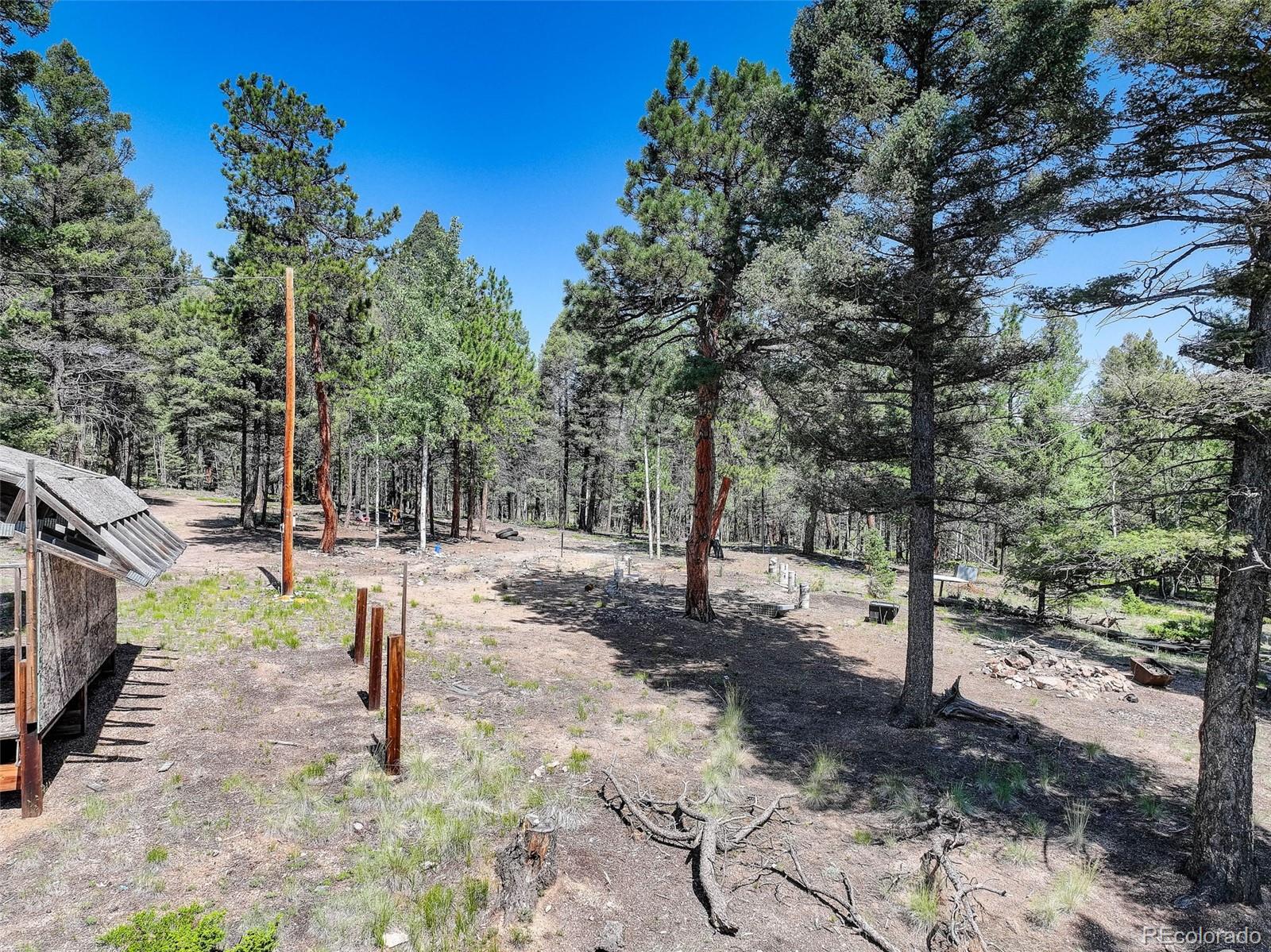 1002 Indian Creek Road Florissant, CO 80816 - Photo 8 of 29