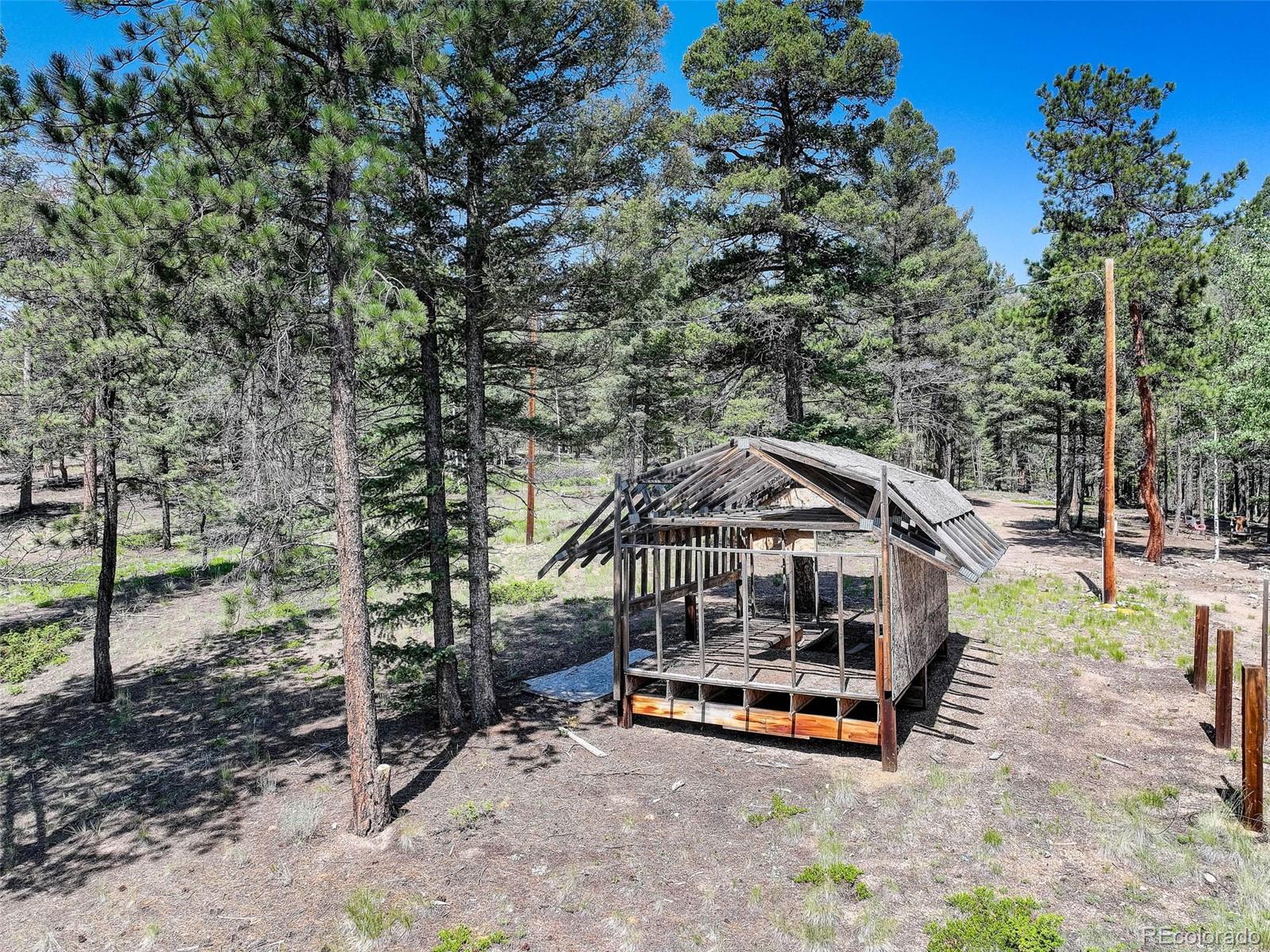 1002 Indian Creek Road Florissant, CO 80816 - Photo 9 of 29