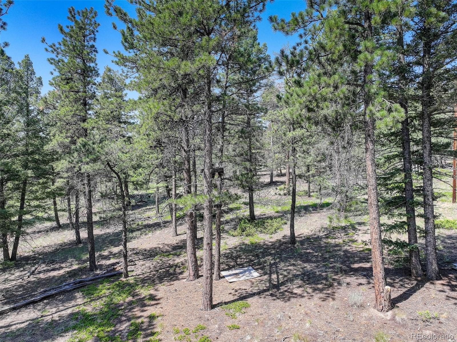 1002 Indian Creek Road Florissant, CO 80816 - Photo 10 of 29