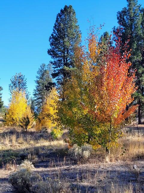20893 Sprague River Road Chiloquin, OR 97624 - Photo 65 of 75 20893 64