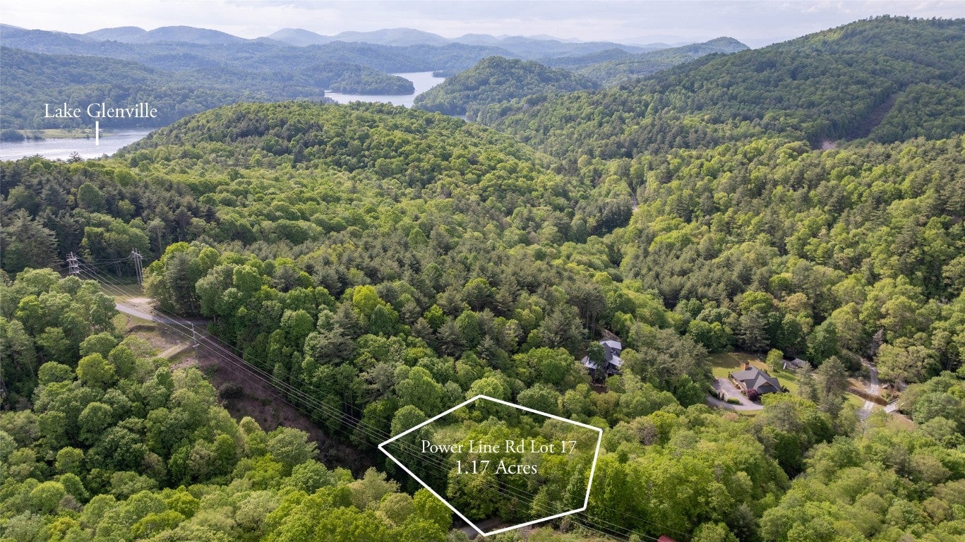 17 Power Line Road Glenville, NC 28736 - Photo 2 of 17 Gallery Image 2