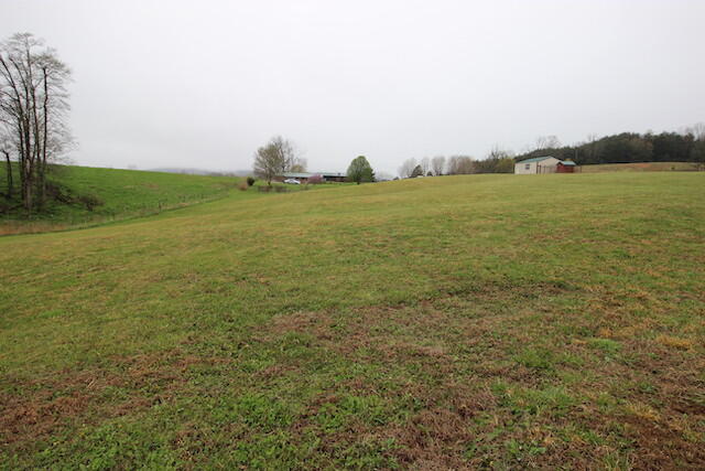 155 Eugene Harness Road Science Hill, KY 42553 - Photo 90 of 101 IMG_5665
